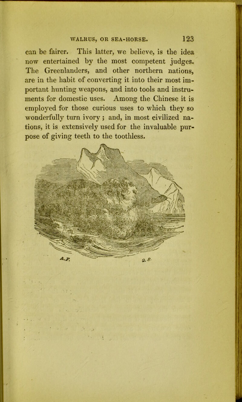 can be fairer. This latter, we believe, is the idea now entertained by the most competent judges. The Greenlanders, and other northern nations, are in the habit of converting it into their most im- portant hunting weapons, and into tools and instru- ments for domestic uses. Among the Chinese it is employed for those curious uses to which they so wonderfully turn ivory ; and, in most civilized na- tions, it is extensively used for the invaluable pur- pose of giving teeth to the toothless. I