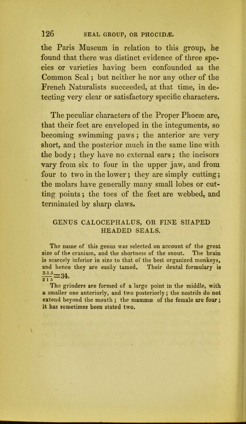 the Paris Museum in relation to this group, he found that there was distinct evidence of three spe- cies or varieties having been confounded as the Common Seal; but neither he nor any other of the French Naturalists succeeded, at that time, in de- tecting very clear or satisfactory specific characters. The peculiar characters of the Proper Phocae are, that their feet are enveloped in the integuments, so becoming swimming paws; the anterior are very short, and the posterior much in the same line with the body ; they have no external ears ; the incisors vary from six to four in the upper jaw, and from four to two in the lower; they are simply cutting; the molars have generally many small lobes or cut- ting points; the toes of the feet are webbed, and terminated by sharp claws. GENUS CALOCEPHALUS, OR FINE SHAPED HEADED SEALS. The name of this genus was selected on account of the great size of the cranium, and the shortness of the snout. The brain is scarcely inferior in size to that of the best organized monkeys, and hence they are easily tamed. Their dental formulary is 2 1 3 The grinders are formed of a large point in the middle, with a smaller one anteriorly, and two posteriorly; the nostrils do not extend beyond the mouth ; the mammae of the female are four; it has sometimes been stated two.