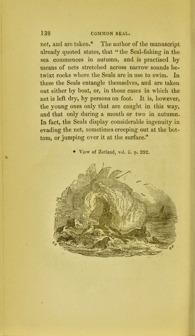 net, and are taken.* The author of the manuscript already quoted states, that “ the Seal-fishing in the sea commences in autumn, and is practised by means of nets stretched across narrow sounds be- twixt rocks where the Seals are in use to swim. In these the Seals entangle themselves, and are taken out either by boat, or, in those cases in which the net is left dry, by persons on foot. It is, however, the young ones only that are caught in this way, and that only during a month or two in autumn. In fact, the Seals display considerable ingenuity in evading the net, sometimes creeping out at the bot- tom, or jumping over it at the surface.”