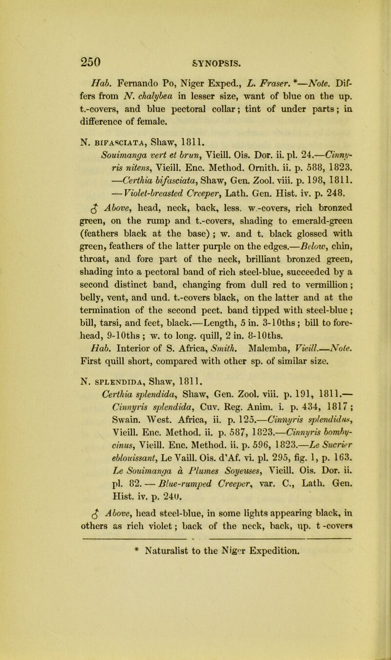 Hab. Fernando Po, Niger Exped., L. Fraser. *—Note. Dif- fers from N. chalyhea in lesser size, want of blue on the up. t.-eovers, and blue pectoral collar; tint of under parts; ia difference of female. N. BIFASCIATA, Shaw, 1811. Souimanga veH et brun, Vieill. Ois. Dor. ii. pi. 24.—Cinny- ris nitens, Vieill. Enc. Method. Omith. ii. p. 588, 1823. —Certhia bifasciata, Shaw, Gen. Zool. viii. p. 198, 1811. — Violet-breasted Creeper, Lath. Gen. Hist. iv. p. 248. ^ Above, head, neck, back, less, w.-covers, rich bronzed green, on the rump and t.-covers, shading to emerald-green (feathers black at the base) ; w. and t. black glossed with green, feathers of the latter purple on the edges.—Below, chin, throat, and fore part of the neck, brilliant bronzed green, shading into a pectoral band of rich steel-blue, succeeded by a second distinct band, changing from dull red to Vermillion; belly, vent, and und. t.-covers black, on the latter and at the termination of the second pect. band tipped with steel-blue; bill, tarsi, and feet, black.—Length, 5 in. 3-lOths ; bill to fore- head, 9-lOths ; w. to long, quill, 2 in. 8-lOths. Hab. Interior of S. Africa, Smith. Malemba, Vieill.—Note. First quill short, compared with other sp. of similar size. N. SPLENDiDA, Shaw, 1811. Certhia splendida, Shaw, Gen. Zool. viii. p. 191, 1811.— Cinnyris splendida, Cuv. Reg. Anim. i. p. 434, 1817 ; Swain. West. Africa, ii. p. 125.—Cinnyris splendid/i.'i, Vieill. Enc. Method, ii. p. 587, 1823.—Cinnyris bomby- cinus, Vieill. Enc. Method, ii. p. 596, 1823.—Le Sucrier ebloiiissant, Le Vaill. Ois. d’Af. vi. pi. 295, fig. 1, p. 163. Le Souimanga d Plumes Soyeuses, Vieill. Ois. Dor. ii. pi. 82. — Blue-rumped Creeper, var. C., Lath. Gen. Hist. iv. p. 24U. Above, head steel-blue, in some lightsappearing black, in others as rich violet; back of the neck, back, up. t -covers * Naturalist to the Nig<?r Expedition.