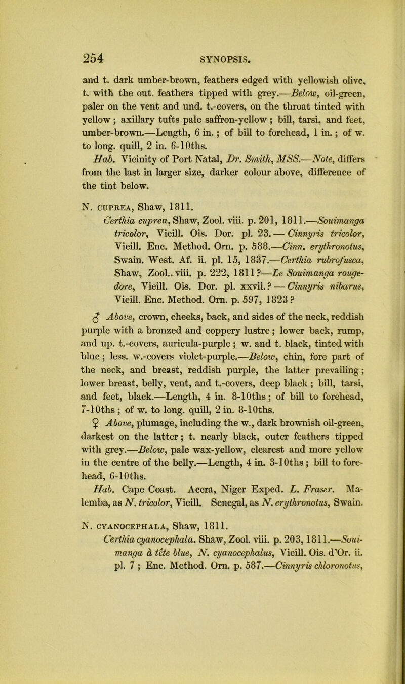 and t. dark umber-brown, feathers edged with yellowish olive, t. with the out. feathers tipped with grey.—Belem, oil-green, paler on the vent and und. t.-covers, on the throat tinted with yellow ; axillary tufts pale safiron-yellow ; bill, tarsi, and feet, umber-brown.—Length, 6 in.; of bill to forehead, 1 in.; of w. to long, quill, 2 in. 6-lOths. Hah. Vicinity of Port Natal, Dr. Smith, MSS.—Note, differs from the last in larger size, darker colour above, difference of the tint below. N. CUPREA, Shaw, 1811. Certhia cuprea, Shaw, Zool. viii. p. 201, 1811.—Souima?iga tricolor, Vieill. Ois. Dor. pi. 23. — Cinnyns tricolor, Vieill. Enc. Method. Om. p. 588.—Cinn. erythronotus, Swain. West. Af. ii. pi. 15, 1837.—Certhia rubro/usca, Shaw, Zool.. viii. p. 222, 1811?—Le Souimanga rouge- dore, Vieill. Ois. Dor. pi. xxvii. ? — Cinnyris nibarus, Vieill, Enc. Method. Om. p. 597, 1823 ? ^ Above, crown, cheeks, back, and sides of the neck, reddish purple with a bronzed and coppery lustre; lower back, rump, and up. t.-covers, aurieula-piuple; w. and t. black, tinted with blue; less, w.-covers violet-purple.—Below, chin, fore part of the neck, and breast, reddish purple, the latter prevailing; lower breast, belly, vent, and t.-covers, deep black ; bill, tarsi, and feet, black.—Length, 4 in. 8-lOths; of bill to forehead, 7-lOths ; of w. to long. quUl, 2 in. 8-lOths. $ Above, plumage, including the w., dark brownish oil-green, darkest on the latter; t. nearly black, outer feathers tipped with grey.—Below, pale wax-yellow, clearest and more yellow in the centre of the belly.—Length, 4 in. 3-lOths; bill to fore- head, 6-lOths. Hub. Cape Coast. Accra, Niger Exped. L. Fraser. Ma- lemba, as N. tricolor, Vieill. Senegal, as N. erythronotus, Swain. N. CYANOCEPHALA, ShaW, 1811. Certhia cyanocephala. Shaw, Zool. viii. p. 203,1811.—Soui- manga a tete blue, N. cyanocephalus, VieUl. Ois. d’Or. ii. pi. 7 ; Enc. Method. Om. p. 587.—Cinnyris chloronotus.