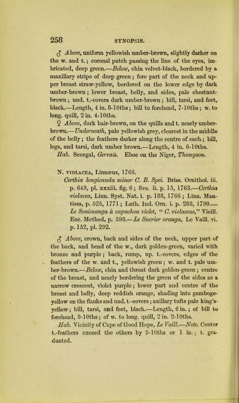 ^ Above, uniform yellowish umber-brown, slightly darker on the w. and t.; eoronal patch passing the line of the eyes, im- bricated, deep green.—Below, chin velvet-black, bordered by a maxiUary stripe of deep green; fore part of the neck and up- per breast straw-yellow, bordered on the lower edge by dark umber-brown; lower breast, belly, and sides, pale chestnut- brown ; und. t.-covers dark umber-brown; bill, tarsi, and feet, black.—Length, 4 in. 8-lOths; bUI to forehead, 7-lOths; w. to long, quill, 2 in. 4-lOths. 9 Above, dark hair-brown, on the quills andt. nearly umber- brown.—Undenieath, pale yellowish grey, clearest in the middle of the belly; the feathers darker along the centre of each; bUl, legs, and tarsi, dark umber brown.—Length, 4 in. 6-lOths. Hob. Senegal, Gervais. Eboe on the Niger, Thompson. N. vioLACEA, Linnaeus, 1766. Certhia longicauda minor C. B. Spei. Briss. Omithol. iii. p. 649, pi. xxxiii. fig. 6 ; 8vo. ii. p. 15, 1763.—Certhia violacea, Liim. Syst. Nat. i. p. 188, 1766 ; Linn. Man- tissa, p. 525, 1771 ; Lath. Ind. Om. i. p. 288, 1790 Le Souimanga a capuchon violet, “ C. violaceus,'’’ VieiU. Enc. Method, p. 598.—Le Sucrier oi'cmga, Le Vaill, vi. p. 152, pi. 292. ^ Above, crown, back and sides of the neck, upper part of the back, and bend of the w., dark golden-green, varied with bronze and piuple ; back, rump, up. t.-covers, edges of the feathers of the w. and t., yellowish green; w. and t. pale um- ber-brown.—Below, chin and tliroat dark golden-gveen ; centre of the breast, and nearly bordering the green of the sides as a narrow crescent, violet purple; lower part and centre of the breast and belly, deep reddish orange, shading into gamboge- yellow on the flanks and und. t.-covers; axillary tufts pale king’s- yellow; bill, tarsi, and feet, black.—Length, 6 in. ; of biU to forehead, 9-lOths ; of w. to long, quill, 2 in. 2-lOths. Hab. Vicinity of Cape of Good Hope, Le Vaill.—Note. Center t.-feathers exceed the others by 9-lOths or 1 in.; t. gra- duated.