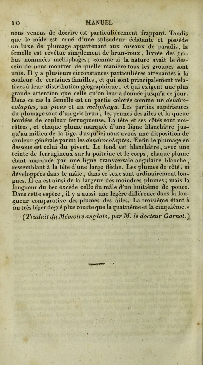 nous venons de décrire est particulièrement frappant. Tandis que le mâle est orné d'une splendeur éclatante et possède un luxe de plumage appartenant aux oiseaux de paradis, la femelle est revêtue simplement de brun-roux , livrée des tri- bus nommées melliphages ; comme si la nature avait le des- sein de nous montrer de quelle manière tous les groupes sont unis. Il y a plusieurs circonstances particulières attenantes à la couleur de certaines familles , et qui sont principalement rela- tives à leur distribution géographique, et qui exigent une plus grande attention que celle qu'on leur a donuée jusqu’à ce jour. Dans ce cas la femelle est en partie colorée comme un dendro- colapteSj un picus et un meliphaga. Les parties supérieures du plumage sont d’un gris brun, les pennes des ailes et la queue bordées de couleur ferrugineuse. La tête et ses côtés sont noi- râtres , et chaque plume marquée d’une ligne blanchâtre jus- qu’au milieu de la tige. Jusqu’ici nous avons une disposition de couleur générale parmi les dendrocolaptes. Enfin le plumage en dessous est celui du pivert. Le fond est blanchâtre, avec une teinte de ferrugineux sur la poitrine et le corps , chaque plume étant marquée par une ligne transversale angulaire blanche, ressemblant à la tête d’une large flèche. Les plumes de côté, si développées dans le mâle , dans ce sexe sont ordinairement lon- gues. Il en est ainsi de la largeur des moindres plumes ; mais la longueur du bec excède celle du mâle d’un huitième de pouce. Dans cette espèce y il y a aussi une légère différence dans la lon- gueur comparative des plumes des ailes. La troisième étant à un très léger degré plus courte que la quatrième et la cinquième.» {Traduit du Mémoire anglaisj parM. le docteur Garnot.)