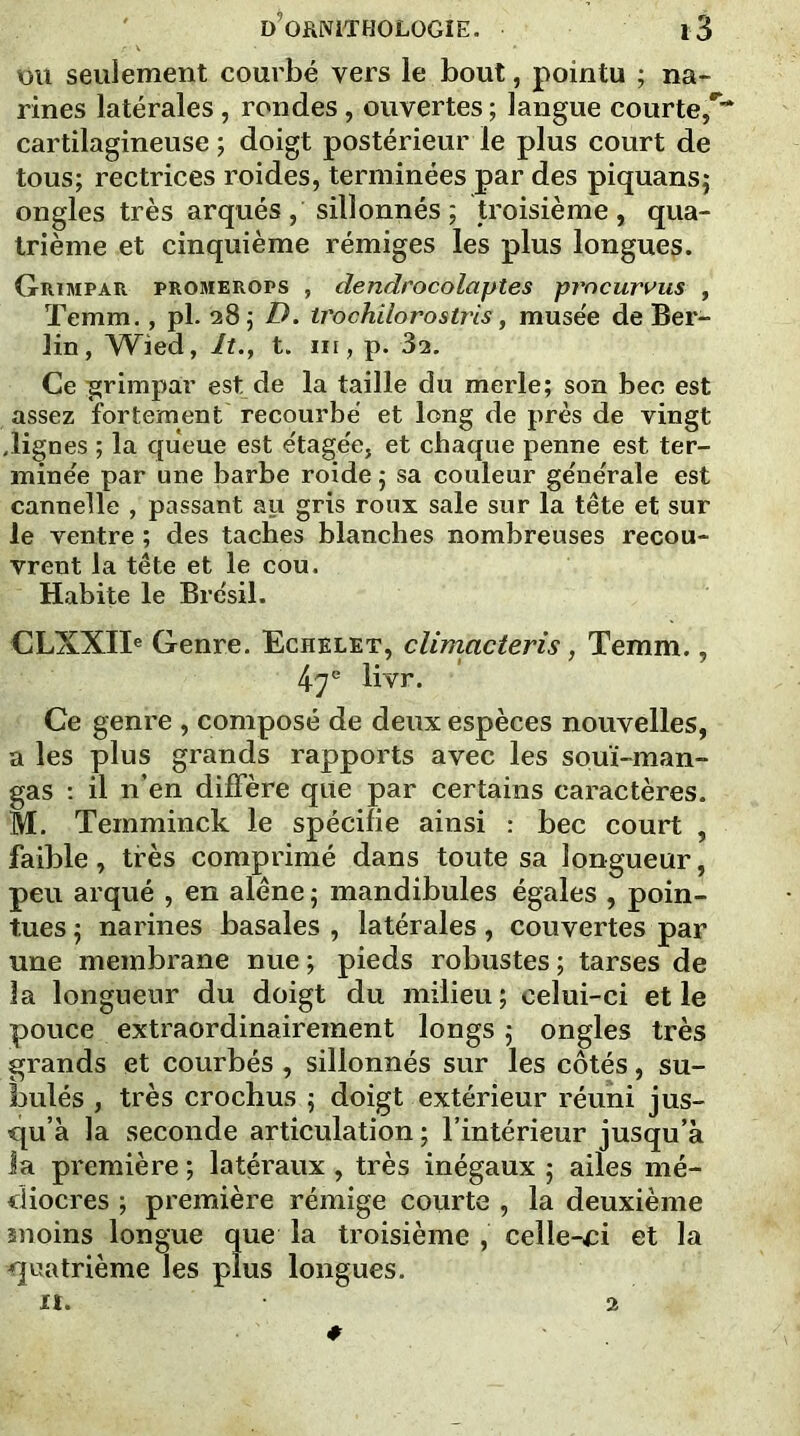 OU seulement courbé vers le bout, pointu ; na- rines latérales , rondes , ouvertes ; langue courte,**'* cartilagineuse; doigt postérieur le plus court de tous; rectrices roides, terminées par des piquans; ongles très arqués, sillonnés; troisième, qua- trième et cinquième rémiges les plus longues. Grimpa R promerops , dendrocolaytes yrncurvus , Temm., pi. 28; D. trochilorostris, musée de Ber- lin, Wied, It., t. in, p. 3a. Ce grimpai’ est de la taille du merle; son bec est assez fortement recourbé et long de près de vingt .lignes ; la queue est étagée, et chaque penne est ter- minée par une barbe roide ; sa couleur générale est cannelle , passant au gris roux sale sur la tête et sur le ventre ; des taches blanches nombreuses recou- vrent la tête et le cou. Habite le Brésil. CLXXIIe Genre. Echelet, climacteris, Temm., 47e livr. Ce genre , composé de deux espèces nouvelles, a les plus grands rapports avec les souï-man- gas : il n’en diffère que par certains caractères. M. Temminck le spécifie ainsi : bec court , faible, très comprimé dans toute sa longueur, peu arqué , en alêne ; mandibules égales , poin- tues ; narines basales , latérales, couvertes par une membrane nue ; pieds robustes ; tarses de la longueur du doigt du milieu ; celui-ci et le pouce extraordinairement longs ; ongles très grands et courbés , sillonnés sur les côtés, su- bulés , très crochus ; doigt extérieur réuni jus- qu’à la seconde articulation ; l’intérieur jusqu’à la première ; latéraux , très inégaux ; ailes mé- diocres ; première rémige courte , la deuxième moins longue que la troisième , celle-^i et la quatrième les plus longues. it. 2 *