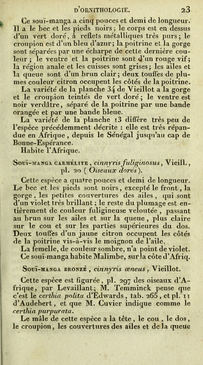 Ce souï-manga a cinq pouces et demi de longueur. Il a le bec et les pieds noirs ; le corps est en dessus d’un vert doré, à reflets métalliques très purs; le croupion est d’un bleu d’azur; la poitrine et la gorge sont séparées par une écharpe de cette dernière cou- leur ; le ventre et la poitrine sont d’un rouge vif; la région anale et les cuisses sont grises ; les ailes et la queue sont d’un brun clair; deux touffes de plu- mes couleur citron occupent les côtés de la poitrine. La variété de la planche 34 de Vieillot a la gorge et le croupion teintés de vert doré ; le ventre est noir verdâtre, séparé de la poitrine par une bande orangée et par une bande bleue. La variété de la planche i3 diffère très peu de l’espèce précédemment décrite : elle est très répan- due en Afrique , depuis le Sénégal jusqu’au cap de Bonne-Espérance. Habite l’Afrique. Souï-manga carmélite , cinnyris fuliginosus, Vieill., pl. 20 ( Oiseaux dorés ). Cette espèce a quatre pouces et demi de longueur. Le bec et les pieds sont noirs, excepté le front, la gorge , les petites couvertures des ailes , qui sont d’un violet très brillant ; le reste du plumage est en- tièrement de couleur fuligineuse veloutée , passant au brun sur les ailes et sur la queue , plus claire sur le cou et sur les parties supérieures du dos. Deux touffes d’un jaune citron occupent les côtés de la poitrine vis-à-vis le moignon de l’aile. La femelle, de couleur sombre, n’a point de violet. Ce souï-manga habite Malimbe, sur la côte d’Afriq. Souï-mànga bronzé , cinnyris ceneus, Vieillot. Cette espèce est figurée, pî. 297 des oiseaux d’A- frique, par Levaiilant; M. Temminck pense que c’est le cerihia polita d’Èdwards, tab. 265, etpl. 11 d’Audebert, et que M. Cuvier indique comme le certhia purpurata. Le mâle de cette espèce a la tête, le cou , le dos, le croupion, les couvertures des ailes et delà queue