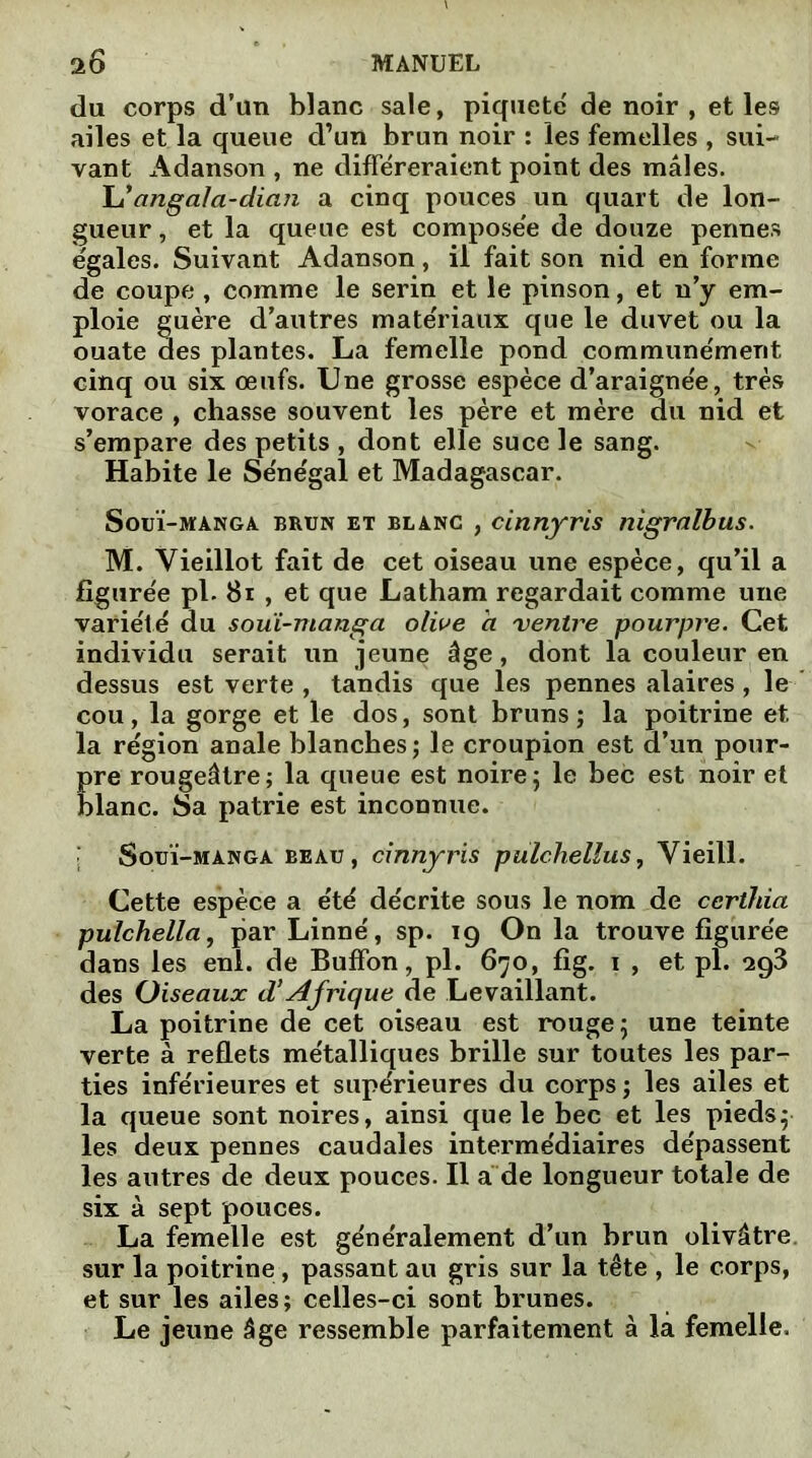 du corps d’an blanc sale, piqueté de noir , et les ailes et la queue d’un brun noir : les femelles , sui- vant Adanson , ne différeraient point des mâles. lï angala-dian a cinq pouces un quart de lon- gueur , et la queue est composée de douze pennes égales. Suivant Adanson, il fait son nid en forme de coupe , comme le serin et le pinson, et n’y em- ploie guère d’autres matériaux que le duvet ou la ouate des plantes. La femelle pond communément cinq ou six œufs. Une grosse espèce d’araignée, très vorace , chasse souvent les père et mère du nid et s’empare des petits , dont elle suce le sang. Habite le Sénégal et Madagascar. Souï-manga brun et blanc , cinnyris nigralbus. M. Vieillot fait de cet oiseau une espèce, qu’il a figurée pl. 81 , et que Latham regardait comme une variété du souï-manga olive a ventre pourpre. Cet individu serait un jeune âge, dont la couleur en dessus est verte , tandis que les pennes alaires , le cou, la gorge et le dos, sont bruns; la poitrine et la région anale blanches; le croupion est d’un pour- pre rougeâtre; la queue est noire; le bec est noir et blanc. Sa patrie est inconnue. Souï-manga beau, cinnyris pulchellus, Vieill. Cette espèce a été décrite sous le nom de ccrihia pulchella, par Linné, sp. 19 Onia trouve figurée dans les enl. de Buffon, pl. 670, fig. 1 , et pl. ag3 des Oiseaux d’Afrique de Levaillant. La poitrine de cet oiseau est rouge; une teinte verte à reflets métalliques brille sur toutes les par- ties inférieures et supérieures du corps ; les ailes et la queue sont noires, ainsi que le bec et les pieds; les deux pennes caudales intermédiaires dépassent les autres de deux pouces. Il a de longueur totale de six à sept pouces. La femelle est généralement d’un brun olivâtre, sur la poitrine, passant au gris sur la tête , le corps, et sur les ailes; celles-ci sont brunes. Le jeune âge ressemble parfaitement à la femelle.