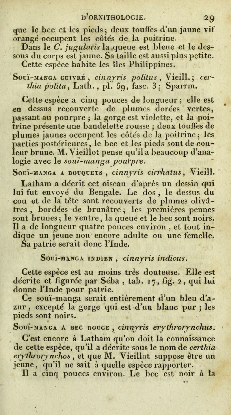 que le bec et les pieds ; deux touffes d’un jaune vif orangé occupent les côtés de la poitrine. Dans le C. jugularis la .queue est bleue et le des- sous du corps est jaune. Sa taille est aussi plus petite. Cette espèce habite les îles Philippines. Souï-manga cuivré, cinnyris politus , Vieill.; cer- thia polita, Lath., pl. 5g, fasc. 3 5 Sparrm. Cette espèce a cinq pouces de longueur; elle est en dessus recouverte de plumes dorées vertes, passant au pourpre ; la gorge est violette, et la poi- trine présente une bandelette rousse ; deux touffes de plumes jaunes occupent les côtés de la poitrine; les Ïiarties postérieures, le bec et les pieds sont de cou- eur brune. M. Vieillot pense qu’il a beaucoup d’ana- logie avec le souï-manga pourpre, Souï-manga a bouquexs , cinnyris cirrhatus, Vieill. Latham a décrit cet oiseau d’après un dessin qui lui fut envoyé du Bengale. Le dos , le dessus du cou et de la tête sont recouverts de plumes olivâ- tres , bordées de brunâtre ; les premières peunes sont brunes; le ventre, la queue et le bec sont noirs. Il a de longueur quatre pouces environ , et tout in- dique un jeune non encore adulte ou une femelle. Sa patrie serait donc l’Inde. Souï-manga indien , cinnyris indiens. Cette espèce est au moins très douteuse. Elle est décrite et figurée par Séba , tab. 17, fig. 2, qui lui donne l’Inde pour patrie. Ce souï-manga serait entièrement d’un bleu d’a- zur , excepté la gorge qui est d’un blanc pur ; les pieds sont noirs. Souï-manga a bec rouge , cinnyris erythrorynchus. C’est encore à Latham qu’on doit la connaissance de cette espèce, qu’il a décrite sous le nom de certhia eryihrorynchos, et que Mo Vieillot suppose être un jeune, qu’il ne sait à quelle espèce rapporter. Il a cinq pouces environ. Le bec est noir à la