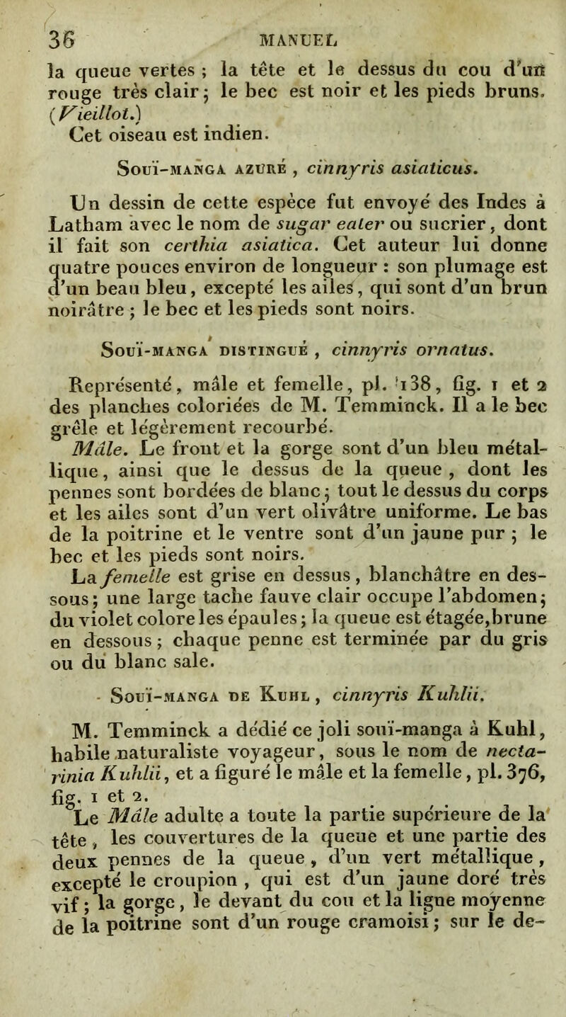 la queue vertes ; la tête et le dessus du cou d’utt rouge très clair 5 le bec est noir et les pieds bruns, ( Vieillot.) Cet oiseau est indien. Souï-manga azuré , cinnyris asiaticus. Un dessin de cette espèce fut envoyé des Indes à Latham avec le nom de sugar ealer ou sucrier, dont il fait son certhia asiatica. Cet auteur lui donne quatre pouces environ de longueur : son plumage est d’un beau bleu, excepté les aileé, qui sont d’un brun noirâtre ; le bec et les pieds sont noirs. Souï-manga distingué , cinnyris ornatus. Représenté, mâle et femelle, pJ. i38, fig. 1 et 2 des planches coloriées de M. Temminck. Il a le bec grêle et légèrement recourbé. Male. Le front et la gorge sont d’un bleu métal- lique , ainsi que le dessus de la queue , dont les pennes sont bordées de blanc ; tout le dessus du corps et les ailes sont d’un vert olivâtre uniforme. Le bas de la poitrine et le ventre sont d’un jaune pur ; le bec et les pieds sont noirs. La femelle est grise en dessus, blanchâtre en des- sous; une large tache fauve clair occupe l’abdomen; du violet colore les épaules ; la queue est étagée,brune en dessous ; chaque penne est terminée par du gris ou du blanc sale. Souï-manga de Kuhl , cinnyris Kuhlii. M. Temminck a dédié ce joli souï-manga à Kuhl, habile naturaliste voyageur, sous le nom de necta- rinict Kuhlii, et a figuré le mâle et la femelle, pl. 376, fig. 1 et 2. Le Mâle adulte a toute la partie supérieure de la tête, les couvertures de la queue et une partie des deux pennes de la queue , d’un vert métallique , excepté le croupion , qui est d’un jaune doré très vif; la gorge, devant du cou et la ligne moyenne de la poitrine sont d’un rouge cramoisi ; sur le de-