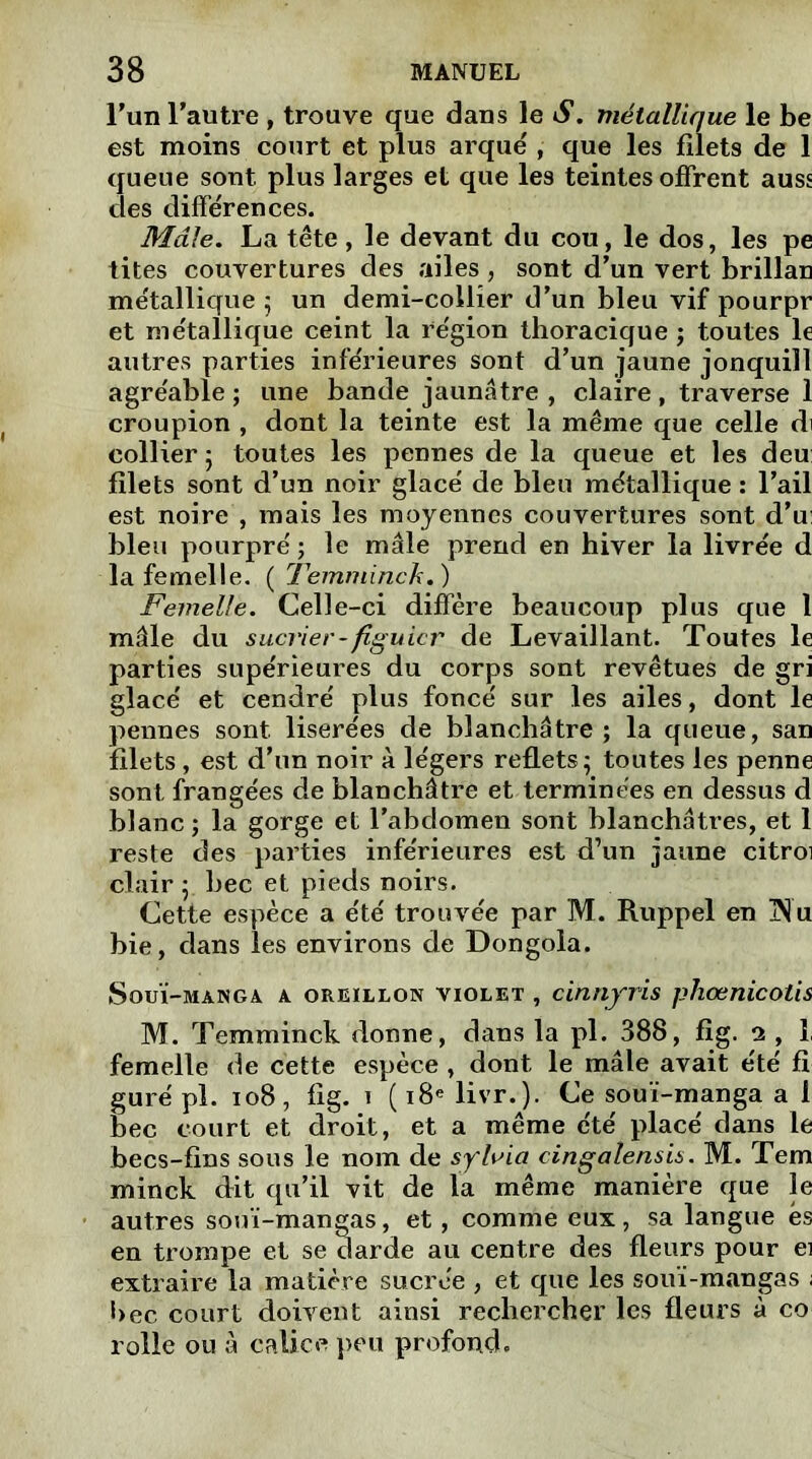 l’un l’autre , trouve que dans le S. métallique le be est moins court et plus arque', que les filets de 1 queue sont, plus larges et que les teintes offrent auss des différences. Mâle. La tête, le devant du cou, le dos, les pe tites couvertures des ailes , sont d’un vert brillan métallique 5 un demi-collier d’un bleu vif pourpr et métallique ceint la région thoracique ; toutes le autres parties inférieures sont d’un jaune jonquill agréable ; une bande jaunâtre , claire , traverse 1 croupion , dont la teinte est la même que celle di collier 5 toutes les pennes de la queue et les deu filets sont d’un noir glacé de bleu métallique : l’ail est noire , mais les moyennes couvertures sont d’u; bleu pourpré ; le mâle prend en hiver la livrée d la femelle. ( Temminck.) Femelle. Celle-ci diffère beaucoup plus que 1 mâle du sucrier-figuier de Levaillant. Toutes le parties supérieures du corps sont revêtues de gri glacé et cendré plus foncé sur les ailes, dont le pennes sont liserées de blanchâtre; la queue, san filets, est d’un noir à légers reflets ; toutes les penne sont frangées de blanchâtre et terminées en dessus d blanc ; la gorge et l’abclomen sont blanchâtres, et 1 reste des parties inférieures est d’un jaune citroi clair ; bec et pieds noirs. Cette espèce a été trouvée par M. Ruppel en Nu bie, dans les environs de Dongola. Souï-manga a oreillon violet , cihnjris phœnicotis M. Temminck donne, dans la pl. 388, fîg. 2 , I femelle de cette espèce , dont le mâle avait été fi guré pl. 108, fig. 1 (18e livr.). Ce souï-manga a 1 bec court et droit, et a même été placé dans le becs-fins sous le nom de sylria cingalensis. M. Tem minck dit qu’il vit de la même manière que le autres souï-mangas, et, comme eux, sa langue es en trompe et se darde au centre des fleurs pour ei extraire la matière sucrée , et que les souï-mangas ; bec court doivent ainsi rechercher les fleurs à co rolle ou à calice peu profond.