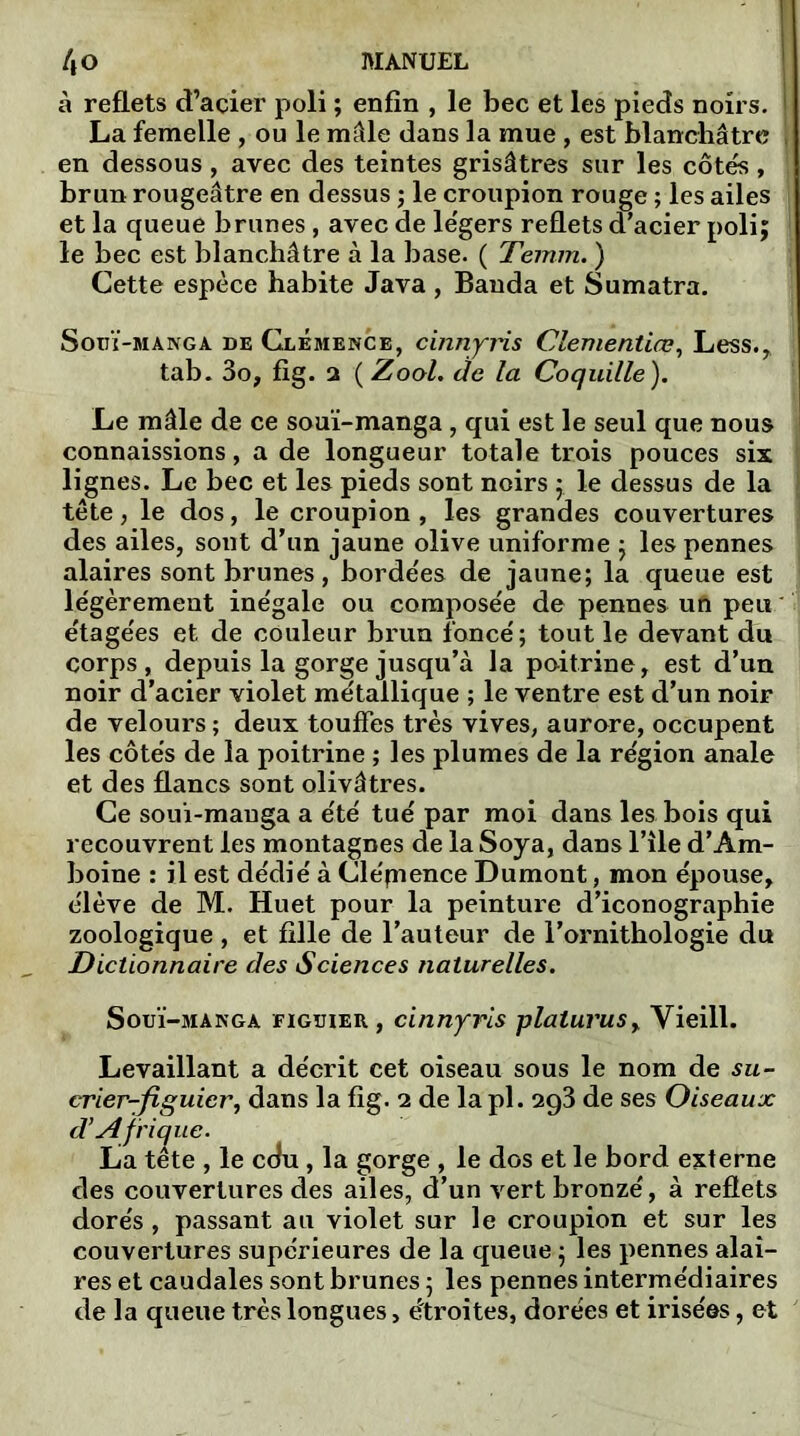 à reflets cTaçier poli ; enfin , le bec et les pieds noirs. La femelle , ou le mâle dans la mue , est blanchâtre en dessous , avec des teintes grisâtres sur les côtés , brun rougeâtre en dessus ; le croupion rouge ; les ailes et la queue brunes , avec de légers reflets d’acier poli; le bec est blanchâtre à la base. ( Temm. ) Cette espèce habite Java , Banda et Sumatra. Souï-manga de Clémence, cinnyris Clementiœ, Less., tab. 3o, fig. a ( Zool. de la Coquille). Le mâle de ce souï-manga , qui est le seul que nous 'ongueur totale trois pouces six pieds sont noirs ; le dessus de la upion, les grandes couvertures des ailes, sont d’un jaune olive uniforme ; les pennes alaires sont brunes, bordées de jaune; la queue est légèrement inégale ou composée de pennes ufï peu étagées et de couleur brun foncé; tout le devant du corps, depuis la gorge jusqu’à la poitrine, est d’un noir d’acier violet métallique ; le ventre est d’un noir de velours ; deux touffes très vives, aurore, occupent les côtés de la poitrine ; les plumes de la région anale et des flancs sont olivâtres. Ce soui-mauga a été tué par moi dans les bois qui recouvrent les montagnes de la Soya, dans l’île d’Am- boine : il est dédié à Clépience Dumont, mon épouse, élève de M. Huet pour la peinture d’iconographie zoologique , et fille de l’auteur de l’ornithologie du Dictionnaire des Sciences naturelles. Souï-manga figuier, cinnyris plalurus, Yieill. Levaillant a décrit cet oiseau sous le nom de su- crier-figuier, dans la fig. 2 de la pl. 2g3 de ses Oiseaux d’Afrique. La tête , le cdu, la gorge , le dos et le bord externe des couvertures des ailes, d’un vert bronzé, à reflets dorés, passant au violet sur le croupion et sur les couvertures supérieures de la queue ; les pennes alai- res et caudales sont brunes ; les pennes intermédiaires de la queue très longues, étroites, dorées et irisées, et connaissions , a ae 1 lignes. Le bec et les tête , le dos, le cro