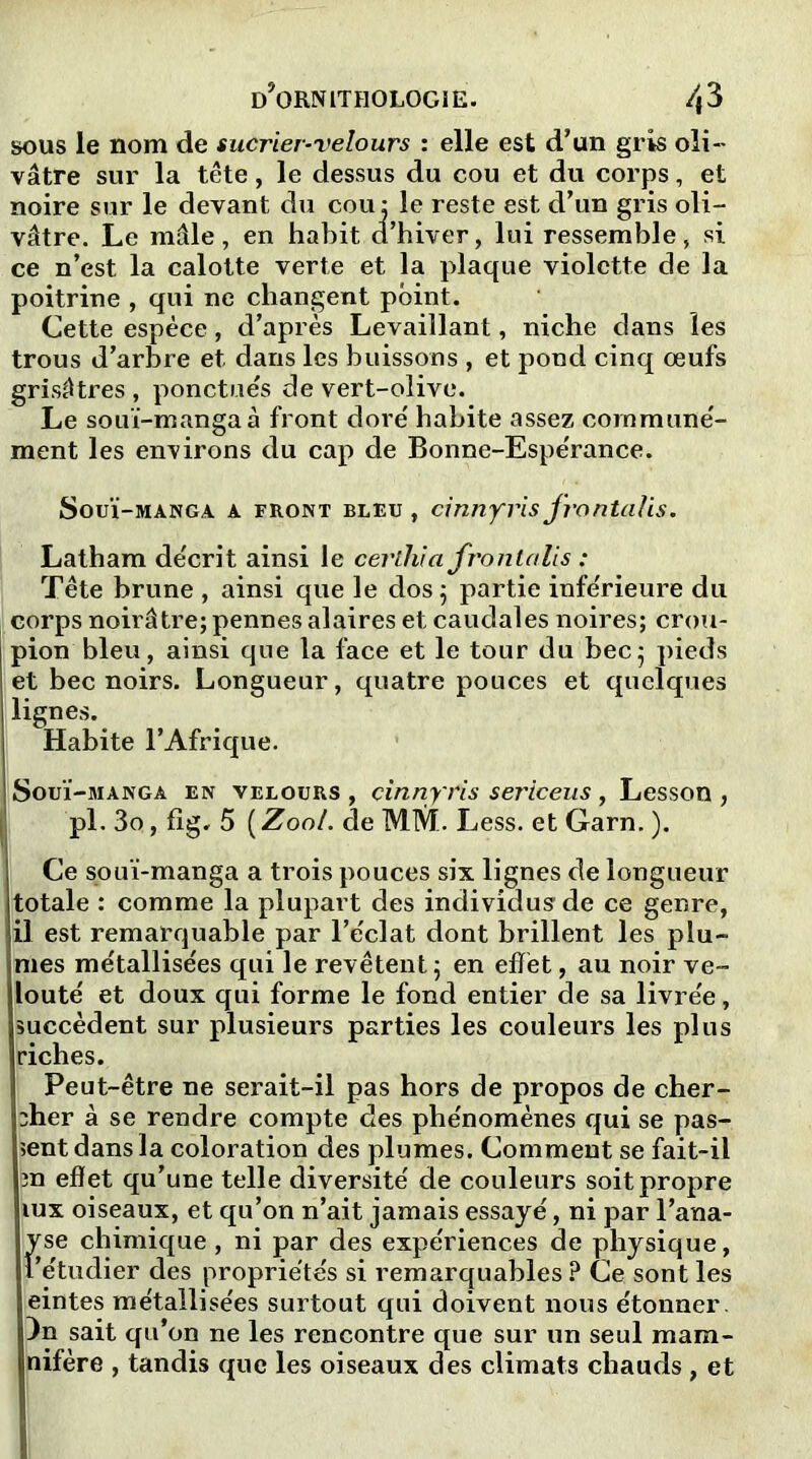 sous le nom de sucrier-velours : elle est d’un gris oli- vâtre sur la tête, le dessus du cou et du corps, et noire sur le devant du cou : le reste est d’un gris oli- vâtre. Le mâle , en habit d’hiver, lui ressemble, si ce n’est la calotte verte et la plaque violette de la poitrine , qui ne changent point. Cette espèce, d’après Levaillant, niche dans les trous d’arbre et dans les buissons , et pond cinq oeufs grisâtres , ponctues de vert-olive. Le souï-mangaà front dore' habite assez communé- ment les environs du cap de Bonne-Espe'rance. Souï-manga a front bleu , cinnyris Jrontalis. Latham de'crit ainsi le certhia frontalis : Tête brune , ainsi que le dos 5 partie infe'rieure du corps noirâtre; pennes alaires et caudales noires; crou- pion bleu, ainsi que la face et le tour du bec; pieds [et bec noirs. Longueur, quatre pouces et quelques lignes. Habite l’Afrique. SouÏ-manga en velours , cinnyris sericeus , Lesson , pl. 3o, fig. 5 ( Zool. de MM. Less. et Garn. ). Ce souï-manga a trois pouces six lignes de longueur totale : comme la plupart des individus de ce genre, il est remarquable par l’éclat dont brillent les plu- tmes métallisées qui le revêtent ; en effet, au noir ve- louté et doux qui forme le fond entier de sa livrée, succèdent sur plusieurs parties les couleurs les plus riches. 1 Peut-être ne serait-il pas hors de propos de cher- cher à se rendre compte des phénomènes qui se pas- sent dans la coloration des plumes. Comment se fait-il en effet qu’une telle diversité de couleurs soit propre iux oiseaux, et qu’on n’ait jamais essayé, ni par l’ana- yse chimique , ni par des expériences de physique, l’étudier des propriétés si remarquables ? Ce sont les eintes métallisées surtout qui doivent nous étonner. 3n sait qu’on ne les rencontre que sur un seul mam- nifère , tandis que les oiseaux des climats chauds , et