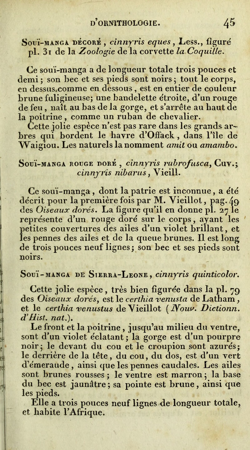 Souï-mànga décoré , cinnyris eques, Less., figuré pl. 3i de la Zoologie de la corvette la Coquille. Ce souï-manga a de longueur totale trois pouces et demi ; son bec et ses pieds sont noirs ; tout le corps, en dessus.comme en dessous, est en entier de couleur brune fuligineuse; une bandelette étroite, d’un rouge de feu, naît au bas de la gorge, et s’arrête au haut de la poitrine, comme un ruban de chevalier. Cette jolie espèce n’est pas rare dans les grands ar- bres qui bordent le havre d’Offack , dans l’île de Waigiou. Les naturels la nomment amit ou amambo. Sotjï-manga rouge doré , cinnyris rubrofusca, Cuv.; cinnyris nibarus, Vieill. Ce souï-manga, dont la patrie est inconnue, a été décrit pour la première fois par M. Vieillot, pag. 4<) des Oiseaux dorés. La figure qu’il en donne pl. 27 le représente d’un rouge doré sur le corps, ayant les Ï>etiles couvertures des ailes d’un violet brillant, et es pennes des ailes et de la queue brunes. Il est long de trois pouces neuf lignes; son bec et ses pieds sont noirs. Souï-manga de Sierra-Leone , cinnyris quinticolor. Cette jolie espèce, très bien figurée dans la pl. 79 des Oiseaux dorés, est le cerlhia venusla de Latham, et le cerihia venustus de Vieillot [Noua. Dictionn. d’Hist. nat.). Le front et la poitrine , jusqu’au milieu du ventre, sont d’un violet éclatant ; la gorge est d’un pourpre noir; le devant du cou et le croupion sont azurés; le derrière de la tête, du cou, du dos, est d’un vert d’émeraude , ainsi que les pennes caudales. Les ailes sont brunes rousses; le ventre est marron; la base du bec est jaunâtre ; sa pointe est brune, ainsi que les pieds. Elle a trois pouces neuf lignes de longueur totale, et habite l’Afrique.