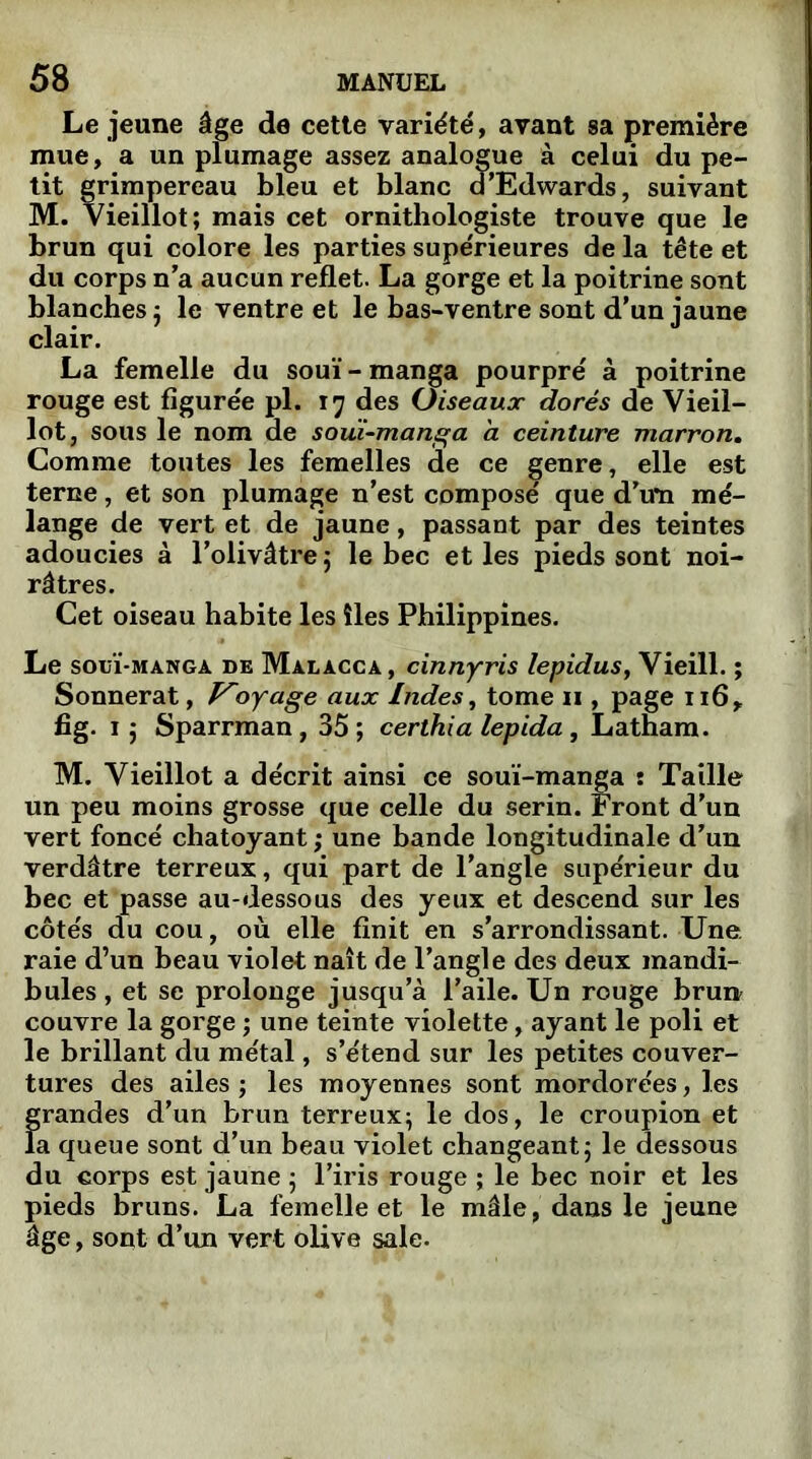 Le jeune âge de cette variété, avant sa première mue, a un plumage assez analogue à celui du pe- tit grimpereau bleu et blanc d'Edwards, suivant M. Vieillot; mais cet ornithologiste trouve que le brun qui colore les parties supérieures de la tête et du corps n’a aucun reflet. La gorge et la poitrine sont blanches ; le ventre et le bas-ventre sont d’un jaune clair. La femelle du souï - manga pourpré à poitrine rouge est figurée pl. 17 des Oiseaux dorés de Vieil- lot, sous le nom de souï-manga a ceinture marron. Comme toutes les femelles de ce genre, elle est terne, et son plumage n’est composé que d’u*n mé- lange de vert et de jaune, passant par des teintes adoucies à l’olivâtre 5 le bec et les pieds sont noi- râtres. Cet oiseau habite les îles Philippines. Le souï-manga de Malacca , cinnyris lepidus, Vieill. ; Sonnerat, Voyage aux Indes, tome 11, page n6> fig. 1 ; Sparrman, 35; certhia lepida, Latham. M. Vieillot a décrit ainsi ce souï-manga : Taille un peu moins grosse que celle du serin. Front d'un vert foncé chatoyant ; une bande longitudinale d’un verdâtre terreux, qui part de l’angle supérieur du bec et passe au-dessous des yeux et descend sur les côtés du cou, où elle finit en s’arrondissant. Une. raie d’un beau violet naît de l’angle des deux mandi- bules , et se prolonge jusqu’à l’aile. Un rouge brun couvre la gorge ; une teinte violette, ayant le poli et le brillant du métal, s’étend sur les petites couver- tures des ailes; les moyennes sont mordorées, les grandes d’un brun terreux; le dos, le croupion et la queue sont d’un beau violet changeant; le dessous du corps est jaune ; l’iris rouge ; le bec noir et les pieds bruns. La femelle et le mâle, dans le jeune âge, sont d’un vert olive sale.