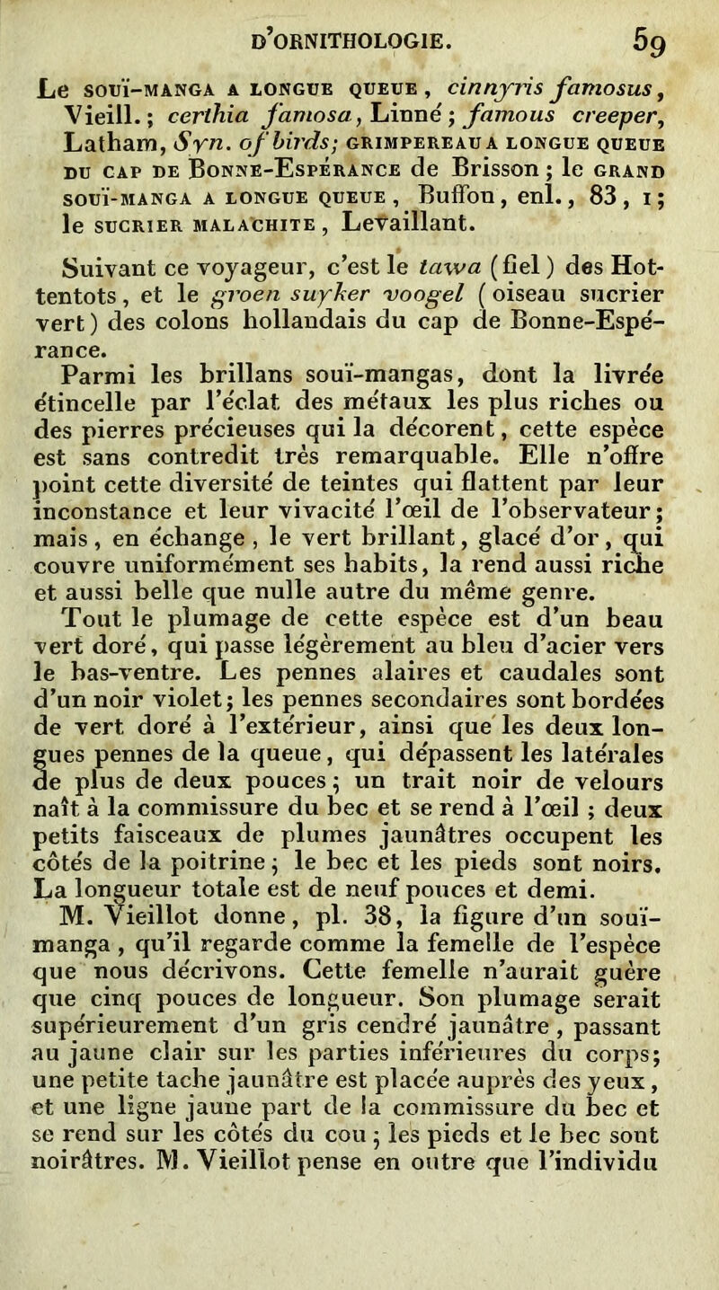 Le souï-manga a longue queue , cinnyris famosus, Vieill.; certhia famosa, Linné ; famous creeper, Latham, ofbirds; grimpereaua longue queue du cap de Bonne-Espérance de Brisson ; le grand SOUÏ-MANGA A LONGUE QUEUE, Buffotl , enl. , 83 , I ; le sucrier malachite , Levaillant. Suivant ce voyageur, c’est le tawa (fiel ) des Hot- tentots , et le groen suyker voogel ( oiseau sucrier vert) des colons hollandais du cap de Bonne-Espé- rance. Parmi les brillans souï-mangas, dont la livrée étincelle par l’éclat des métaux les plus riches ou des pierres précieuses qui la décorent, cette espèce est sans contredit très remarquable. Elle n’ofïre point cette diversité de teintes qui flattent par leur inconstance et leur vivacité l’œil de l’observateur; mais, en échange , le vert brillant, glacé d’or, qui couvre uniformément ses habits, la rend aussi riche et aussi belle que nulle autre du même genre. Tout le plumage de cette espèce est d’un beau vert doré, qui passe légèrement au bleu d’acier vers le bas-ventre. Les pennes alaires et caudales sont d’un noir violet; les pennes secondaires sont bordées de vert doré à l’extérieur, ainsi que les deux lon- gues pennes de la queue, qui dépassent les latérales de plus de deux pouces ; un trait noir de velours naît à la commissure du bec et se rend à l’œil ; deux petits faisceaux de plumes jaunâtres occupent les côtés de la poitrine ; le bec et les pieds sont noirs. La longueur totale est de neuf pouces et demi. M. Ÿieillot donne, pl. 38, la figure d’un souï- manga , qu’il regarde comme la femelle de l’espèce que nous décrivons. Cette femelle n’aurait guère que cinq pouces de longueur. Son plumage serait supérieurement d’un gris cendré jaunâtre, passant au jaune clair sur les parties inférieures du corps; une petite tache jaunâtre est placée auprès des yeux, et une ligne jaune part de la commissure du bec et se rend sur les côtés du cou ; les pieds et le bec sont noirâtres. M. Vieillot pense en outre que l’individu