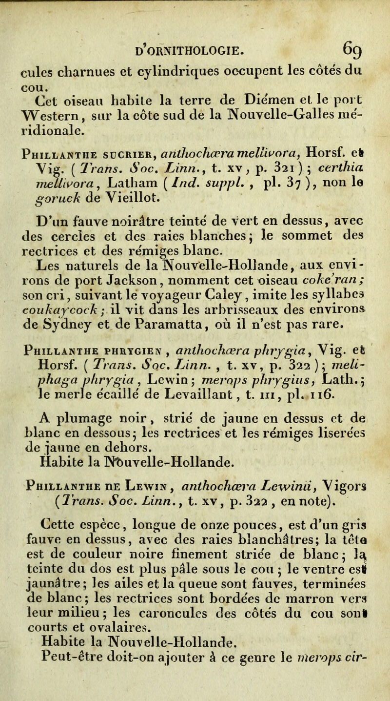 cules charnues et cylindriques occupent les côte's du cou. Cet oiseau habite la terre de Die'men et le port Western, sur la cote sud de la Nouvelle-Galles mé- ridionale. Phillanthe sücrier, anthochœra mellivora, Horsf. efc Vig. ( Trans. Soc. Linn., t. xv, p. 321 ) ; certhia mellivora, Latham ( Ind. suppl. , pl. 37 ), non le goruck de Vieillot. D’un fauve noirâtre teinté de vert en dessus, avec des cercles et des raies blanches ; le sommet des rectrices et des rémiges blanc. Les naturels de la Nouvelle-Hollande, aux envi- rons de port Jackson, nomment cet oiseau cokeran; son cri, suivant lé voyageur Çaley, imite les syllabes coukaycock ; il vit dans les arbrisseaux des environs de Sydney et de Paramatta, où il n’est pas rare. Phillanthe phrygien, antliochæra phrygia, Vig. et Horsf. ( Trans. Sqc. Linn. , t. xv, p. 322 ); meli- phaga phrygia, Lewin; meraps phrygius, Latli.; le merle écaillé de Levaillant, t. 111, pl. 116. A plumage noir, strié de jaune en dessus et de blanc en dessous ; les rectrices et les rémiges lisere'es de jaune en dehors. Habite la Nbuvelle-Hollande. Phillanthe nE Lewin, anthochœra Lewimi, Vigors (7’rans. Soc. Linn., t. xv, p. 322 , en note). Cette espèce, longue de onze pouces, est d’un gris fauve en dessus, avec des raies blanchâtres; la téta est de couleur noire finement striée de blanc ; Ici teinte du dos est plus pâle sous le cou ; le ventre es! jaunâtre; les ailes et la queue sont fauves, terminées de blanc ; les rectrices sont bordées de marron vers leur milieu ; les caroncules des côtés du cou sont courts et ovalaires. Habite la Nouvelle-Hollande. Peut-être doit-on ajouter à ce genre le nierops cir-