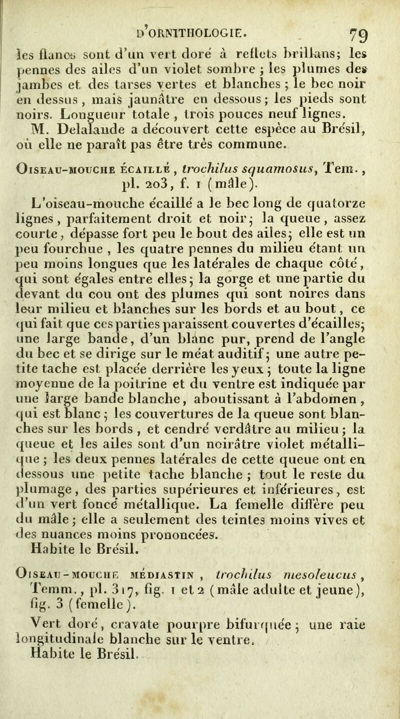 les flanos sont d’un vert doré à reflets brillons; les pennes des ailes d’un violet sombre ; les plumes des jambes et des tarses vertes et blanches ; le bec noir en dessus, mais jaunâtre en dessous ; les pieds sont noirs. Longueur totale , trois pouces neuf lignes. M. Delalande a découvert cette espèce au Brésil, où elle ne paraît pas être très commune. Oiseau-mouche écaillé , trochilus squamosus, Tem., pl. 2o3, f. i (mâle). L’oiseau-mouche écaillé a le bec long de quatorze lignes, parfaitement droit et noir; la queue, assez courte, dépasse fort peu le bout des ailes; elle est un peu fourchue , les quatre pennes du milieu étant un peu moins longues que les latérales de chaque côté, qui sont égales entre elles ; la gorge et une partie du devant du cou ont des plumes qui sont noires dans leur milieu et blanches sur les bords et au bout, ce qui fait que ces parties paraissent couvertes d’écailles; une large bande, d’un blânc pur, prend de l’angle du bec et se dirige sur le méat auditif; une autre pe- tite tache est placée derrière les yeux ; toute la ligne moyenne de la poitrine et du ventre est indiquée par une large bande blanche, aboutissant à l’abdomen, qui est blanc ; les couvertures de la queue sont blan- ches sur les bords , et cendré verdâtre au milieu ; la queue et les ailes sont d’un noirâtre violet métalli- que ; les deux pennes latérales de cette queue ont en dessous une petite tache blanche; tout le reste du plumage, des parties supérieures et inférieures, est d’un vert foncé métallique. La femelle diffère peu du mâle ; elle a seulement des teintes moins vives et des nuances moins prononcées. Habite le Brésil. Oiseau-mouche mediastin , trochilus mesoleucus, Temm., pl. 317, fig. 1 et 2 (mâle adulte et jeune), fîg. 3 (femelle). Vert doré, cravate pourpre bifurquée ; une raie longitudinale blanche sur le ventre. Habite le Brésil.