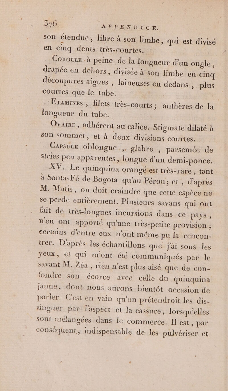 son étendue, libre à son limbe, qui est divisé en cinq dents très-courtes. Corozze . à peine de la longueur d’un ongle, drapée en dehors, divisée à son limbe en cinq découpures aigues , laineuses en dedans ,. plus courtes que le tube. ÉrTamines , filets trés-courts ; anthères de la longueur du tube. Ovarre , adhérent au calice. Stigmate dilaté à son sommet, et à deux divisions courtes. CAPSULE oblongue glabre , parsemée de stries peu apparentes , longue d’un demi-ponce. XV. Le qunquina orangé est très-rare , tant à Santa-Fé de Bogota qu’au Pérou; et , d’après M. Mutis, on doit craindre que cette espèce ne se perde entièrement. Plusieurs savans qui ont fait de tres-longues incursions dans ce pays , n'en ont apporté qu'une très-petite provision ; certains d’entre eux n’ont même pu la rencon- trer. D'après les échantillons que J'ai sous les yeux, et qui m'ont été communiqués par le savant M. Zéa , rien n’est plus aisé que de con- iondre son écorce avec celle du quinquina jaune, dont nous aurons bientôt occasion de parler. C’est en vain qu’on prétendroit les dis- ünguer par l'aspect et la cassure, lorsqu'elles Sont mélangées dans le commerce. Il est , par conséquent, indispensable de les pulvériser ct