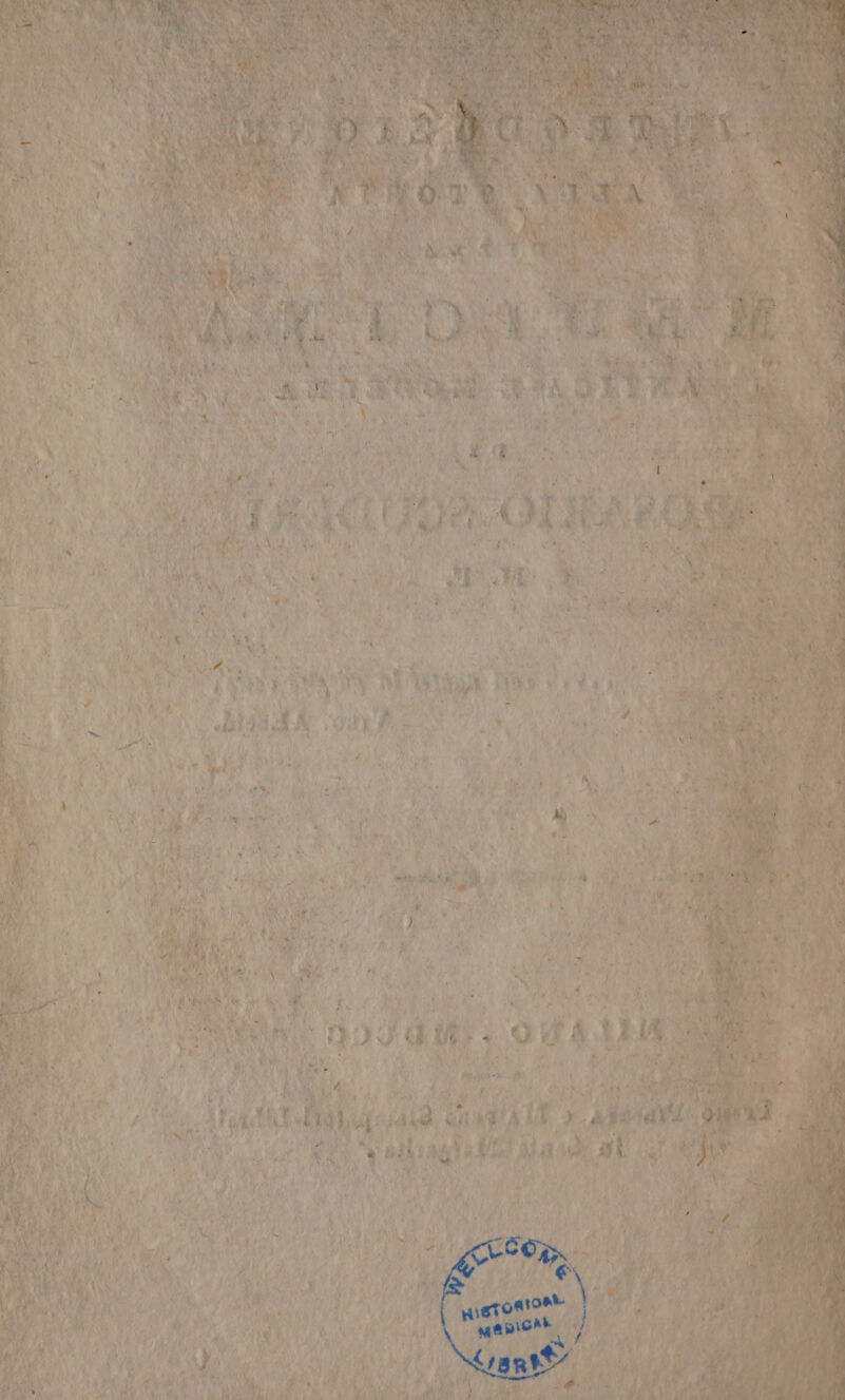 LARIO h È \Vè (p î Va <@ e NU n, ee MN. Mii DA 20 fat 4 NI ; Miglia Ai (ur n | Aki ag a AAA