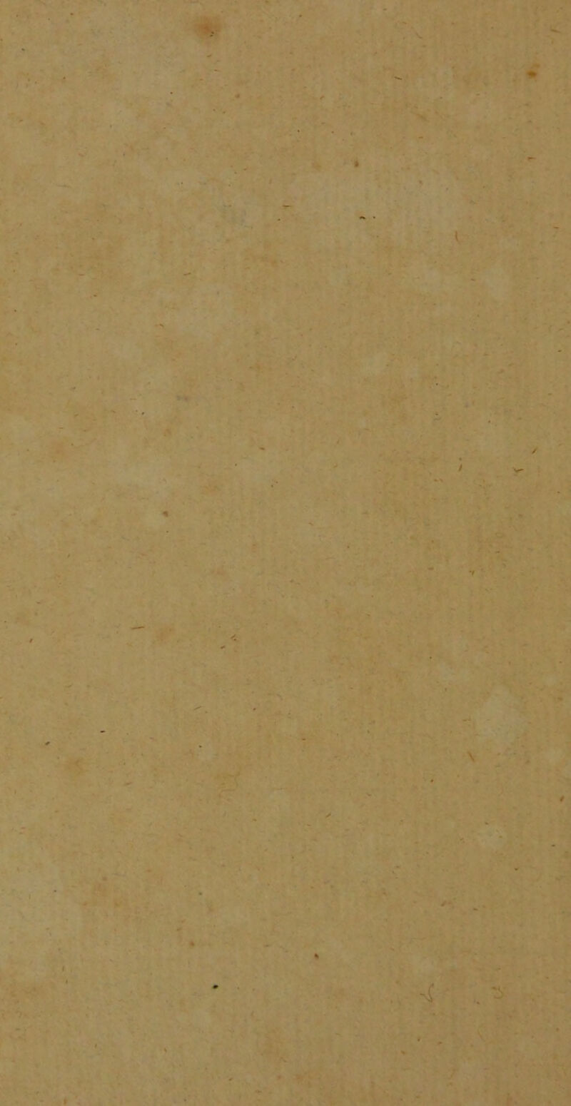 . V. * l A* f ✓ ' ^ , »•