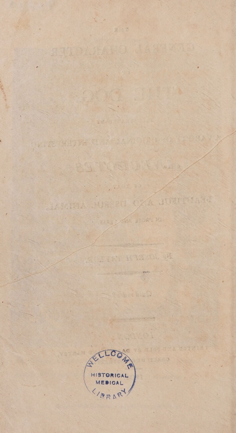 HISTORICAL MEBIGAL &amp;p per