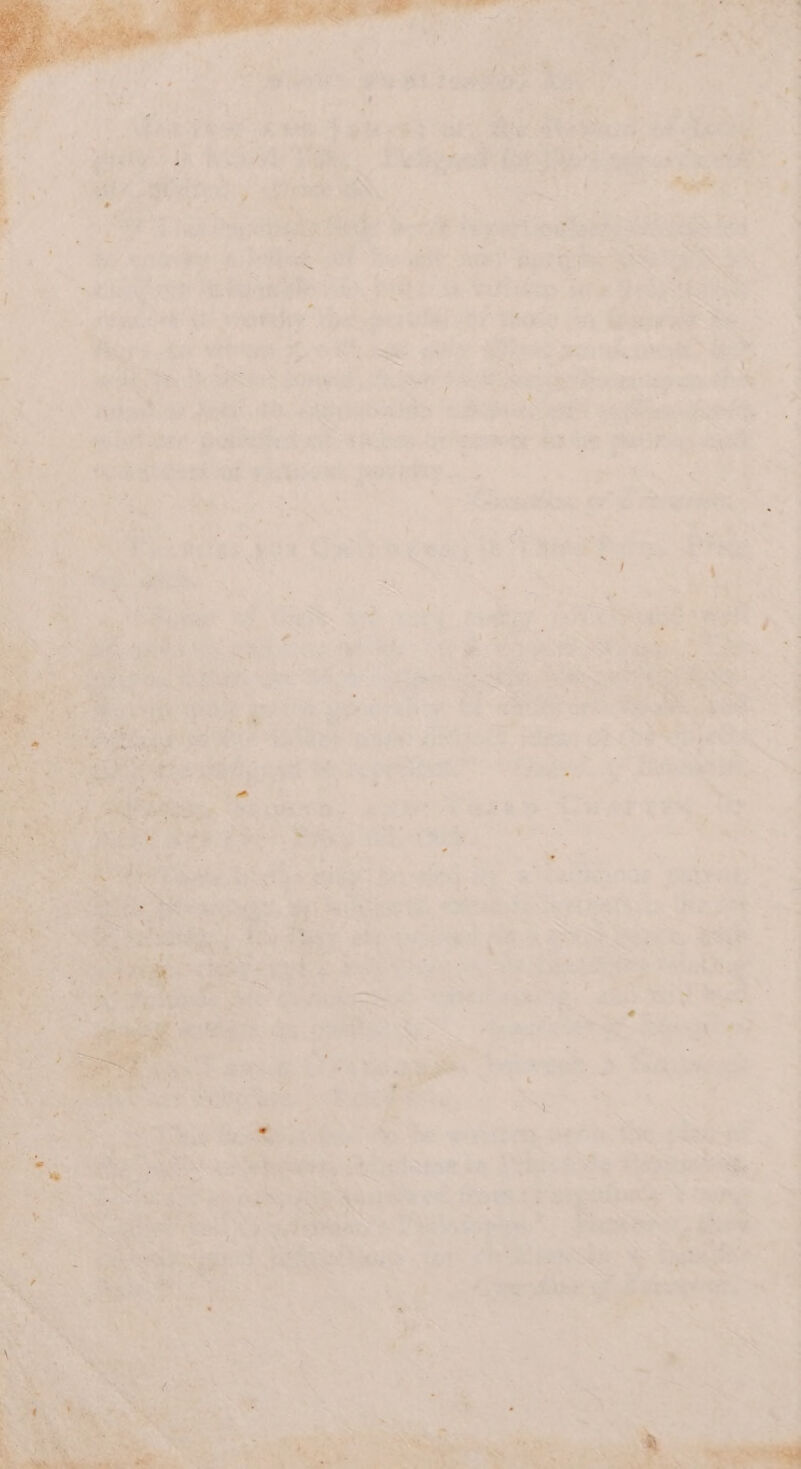 S is i“ ; m4 ee td) a ee