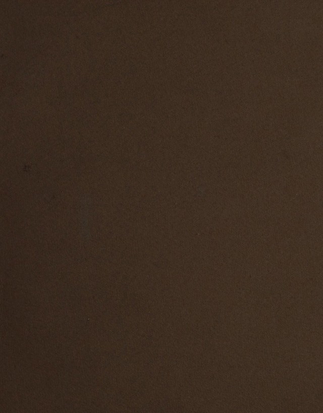 digitised image 1