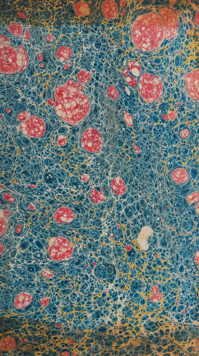 No text description is available for this image