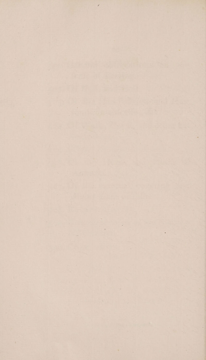 ry ros 7 oe! na idee uO = Naar 4 her Y a Bie es c Nah de fa