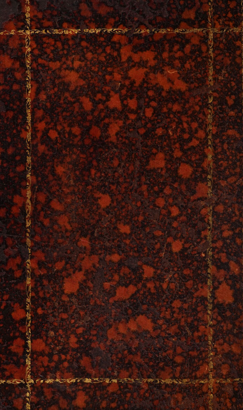 No text description is available for this image