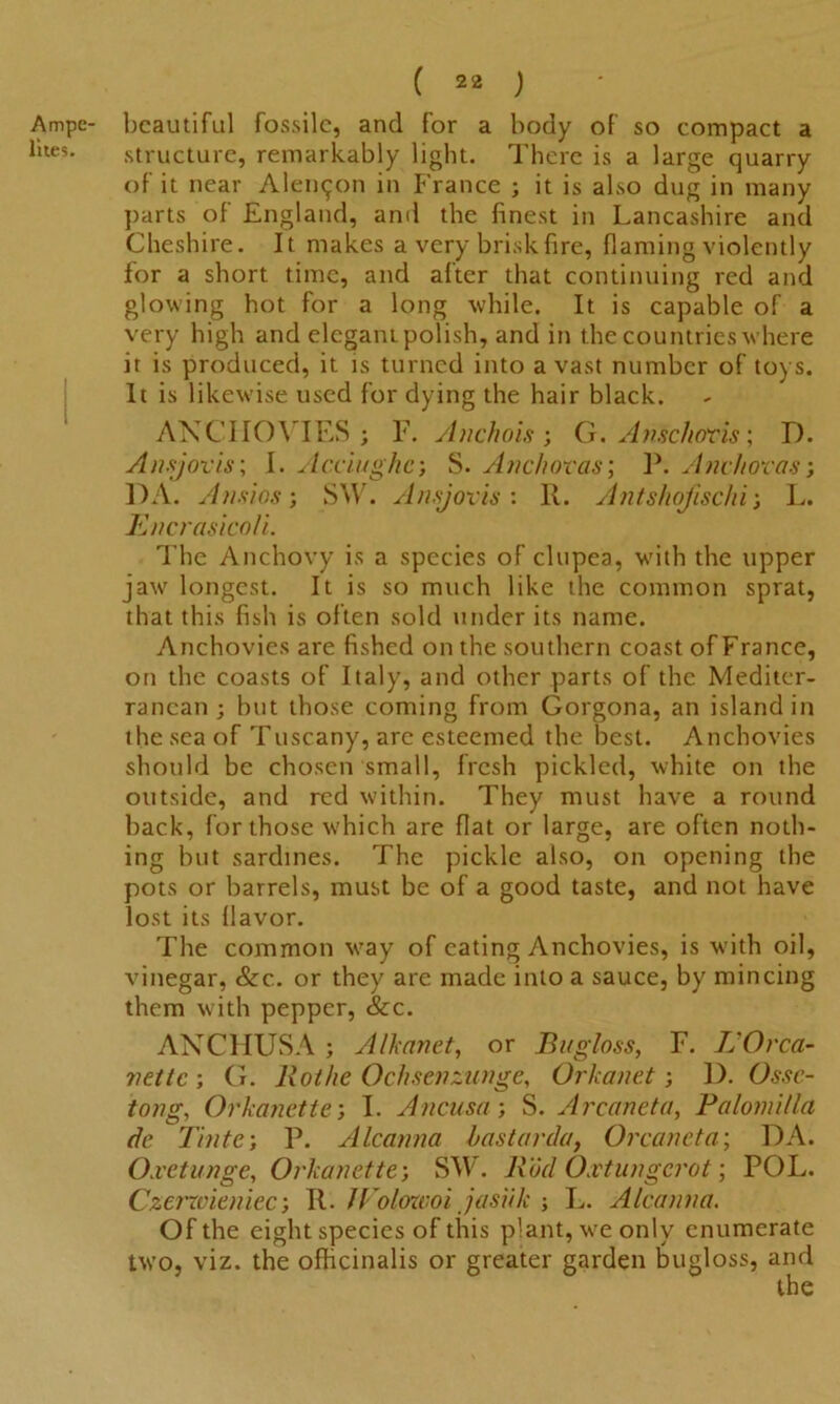 Ampe- lites. ( 22 ) beautiful fossile, and for a body of so compact a structure, remarkably light. There is a large quarry of it near Alen^on in France ; it is also dug in many parts of England, and the finest in Lancashire and Cheshire. It makes a very brisk fire, flaming violently for a short time, and after that continuing red and glowing hot for a long while. It is capable of a very high and elegant polish, and in the countries where it is produced, it is turned into a vast number of toys. It is likewise used for dying the hair black. ANCHOVIES; F. Anchois ; G. Anschoris; D. Ansjovis; I. Acciughe; S. And tor as; lb Anchoras; DA. Ansios; SW. Ansjovis: 11. Antshofischi; L. Encrasicoli. The Anchovy is a species of clupea, with the upper jaw longest. It is so much like the common sprat, that this fish is often sold under its name. Anchovies are fished on the southern coast of France, on the coasts of Italy, and other parts of the Mediter- ranean ; but those coming from Gorgona, an island in the sea of Tuscany, arc esteemed the best. Anchovies should be chosen small, fresh pickled, white on the outside, and red within. They must have a round back, for those which are flat or large, are often noth- ing but sardines. The pickle also, on opening the pots or barrels, must be of a good taste, and not have lost its flavor. The common way of eating Anchovies, is with oil, vinegar, &c. or they are made into a sauce, by mincing them with pepper, See. ANCHUSA ; Alkanet, or Bugloss, F. L'Orca- vettc ; G. liothe Ochsenzunge, Or/canet; 1). Ossc- tong, Orkanette-, I. Ancusa; S. Arcaneta, Palomilla de Tinte; P. Alcanna has tarda, Orcaneta; DA. Oxetunge, Orkanette; SW. Rod Oxtungcrot; POL. Czerzvieniec; K. /Voloxeoi jasiik ; L. Alcanna. Of the eight species of this plant, we only enumerate two, viz. the officinalis or greater garden bugloss, and