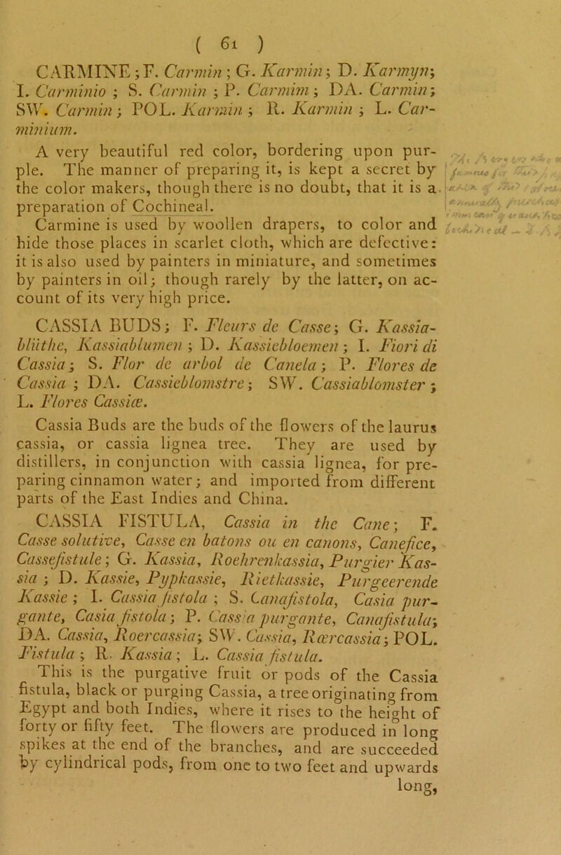 CARMINE; F. Carmin ; G. Karmin; D. Karmyn; I. Carminio ; S. Carmin ; P. Car mini; DA. Carmin; S\Yr. Carmin ; POL. Karmin ; R. Karmin ; L. Ccrr- minium. A very beautiful red color, bordering upon pur- ple. The manner of preparing it, is kept a secret by the color makers, though there is no doubt, that it is a preparation of Cochineal. Carmine is used by woollen drapers, to color and _ hide those places in scarlet cloth, which are defective: it is also used by painters in miniature, and sometimes by painters in oil; though rarely by the latter, on ac- count of its very high price. CASSIA BUDS; F. Fleurs de Casse; G. Kassia- bliithe, Kassiablumen ; D. Kassieb/oemen; I. Fiori di Cassia; S. F/or de arbol de Cane la; P. Flores de Cassia ; DA. Cassieblomstre; SW. Cassiablomstcr ; L. Flores Cassiee. I m*9U6 f. r YaA4JK jf rtA-i Cassia Buds are the buds of the (lowers of the laurus cassia, or cassia lignea tree. They are used by distillers, in conjunction with cassia lignea, for pre- paring cinnamon water; and imported from different parts of the East Indies and China. CASSIA FISTULA, Cassia in the Cane; F. Casse solutive, Casse en batons ou en canons, Canefice, Cassejistule; G. Kassia, Roehrenkassia, Pursier Kas- sia ; D. Kassie, Pypkassie, Rietlcassie, Purgeerende Kassie ; I. Cassia jistola ; S. Canajistola, Casio pur- gante, Casia Jistola; P. Cassia purgante, Canajistulu; DA. Cassia, Roer cassia; SW. Cassia, Peer cassia; POL. Fistula; R. Kassia; L. Cassia fistula. This is the purgative fruit or pods of the Cassia fistula, black or purging Cassia, a tree originating from Egypt and both Indies, where it rises to the height of forty or fifty feet. The flowers are produced in long spikes at the end of the branches, and are succeeded by cylindrical pods, from one to two feet and upwards long,