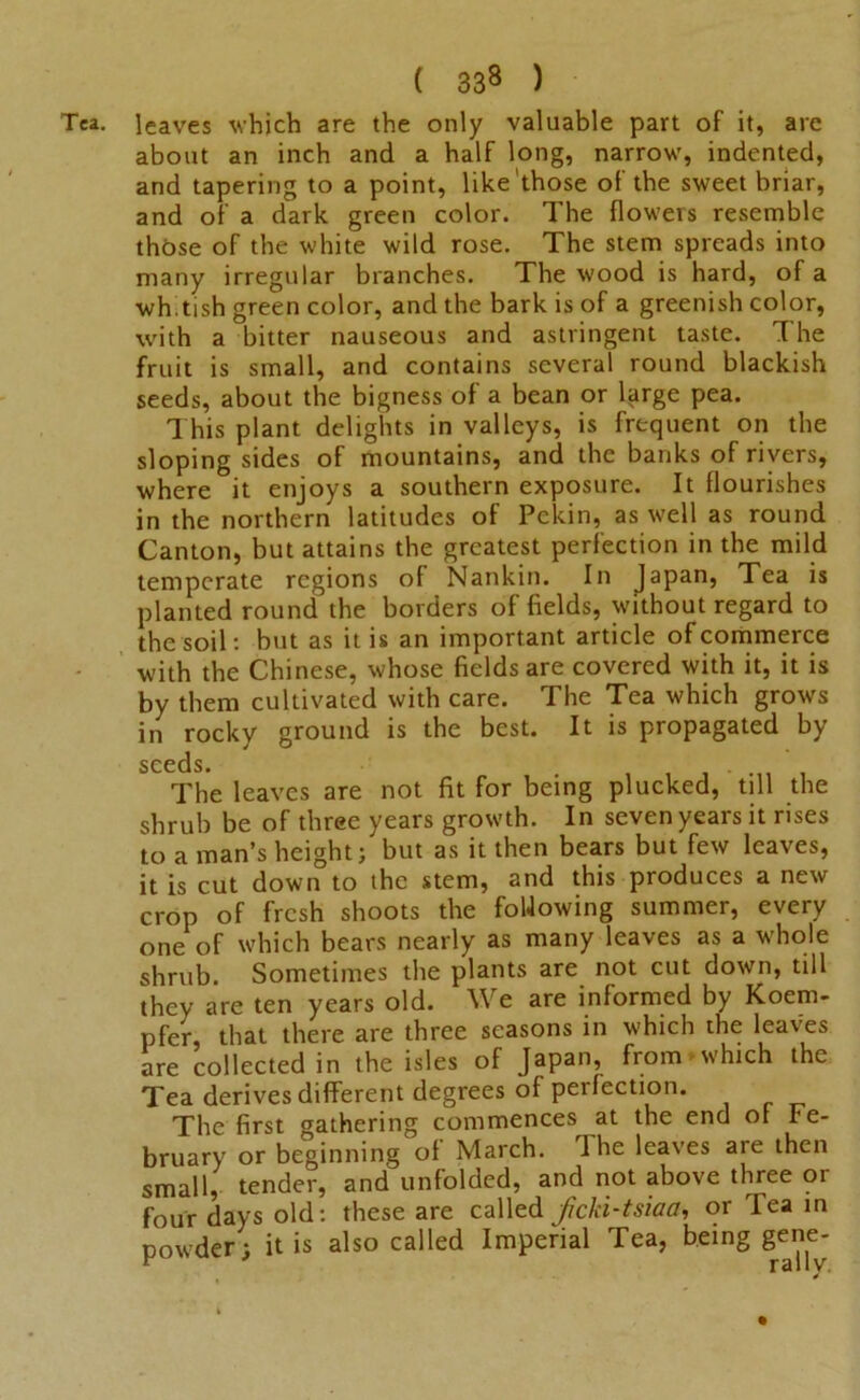 Tea. leaves which are the only valuable part of it, are about an inch and a half long, narrow, indented, and tapering to a point, like those of the sweet briar, and of a dark green color. The flowers resemble those of the white wild rose. The stem spreads into many irregular branches. The wood is hard, of a wh.tish green color, and the bark is of a greenish color, with a bitter nauseous and astringent taste. 'The fruit is small, and contains several round blackish seeds, about the bigness of a bean or large pea. This plant delights in valleys, is frequent on the sloping sides of mountains, and the banks of rivers, where it enjoys a southern exposure. It flourishes in the northern latitudes of Pekin, as well as round Canton, but attains the greatest perfection in the mild temperate regions of Nankin. In Japan, Tea is planted round the borders of fields, without regard to the soil: but as it is an important article of commerce with the Chinese, whose fields are covered with it, it is by them cultivated with care. The Tea which grows in rocky ground is the best. It is propagated by seeds. The leaves are not fit for being plucked, till the shrub be of three years growth. In seven years it rises to a man’s height; but as it then bears but few leaves, it is cut down to the stem, and this produces a new crop of fresh shoots the foUowing summer, every one of which bears nearly as many leaves as a whole shrub. Sometimes the plants are not cut down, till they are ten years old. We are informed by Koem- pfer, that there are three seasons in which the leaves are collected in the isles of Japan, from>which the Tea derives different degrees of perfection. The first gathering commences at the end of Fe- bruary or beginning of March. I he leaves are then small, tender, and unfolded, and not above three or four days old: these are called fcki-tsiaa, or lea in powder; it is also called Imperial Tea, being gene-