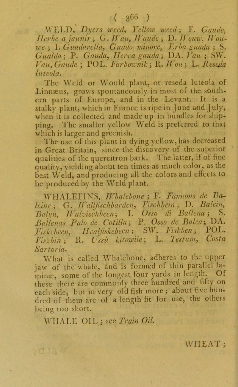 ( 3<56 ) V WELD, Dyers weed, Yellow weed; F. Gaude, Jferbe ajaunir; G. Wan, Jf'audc; D. H ome, Jl ou- we ; I. Guadarella, Giuido mi no re, Erba guada ; S. Gualda; P. Gauda, Herva gauda ; DA. Van ; SW. J auGaude ; POL. Far botanic; II. If on; L. llesula luteola. The Weld or Would plant, or reseda luteola of Linnaeus, grows spontaneously in most of the south- ern parts of Europe, and in the Levant. It is a stalky plant, which in France is ripe in June and July, when it is collected and made up in bundles for ship- ping. The smaller yellow Weld is preferred to that which is larger and greenish. The use of this plant in dying yellow, has decreased in Great Britain, since the discovery of the superior qualities of the quercitron bark. The latter, if of fine quality, yielding about ten times as much color, as the best Weld, and producing all the colors and effects to be produced by the Weld plant. WHALEFINS, Whalebone ; F. Fannons de Jla- lei ne ; G. JVallJischbardcn, Fischbein; D. Balein, Balyn, IFalvisclibeen; I. Osso di Ballena; S. Failenas Palo de Cot ilia; P. Osso de Fa lea; I)A. Fiskebecn, llvaljiskebeen; SW. Fiskben; POL. Fiszbin; 11. Ussit Icitowiie; L. Testum, Costa Sartoria. What is called Whalebone, adheres to the upper jaw of the whale, and is formed of thin parallel la- minae, some of the longest four yards in length. Of these there are commonly three hundred and fifty on each side, but in very old fash more; about five hun- dred of them are of a length fit for use, the otheis being too short. WIIALE OIL; see Train Oil. WHEAT ;