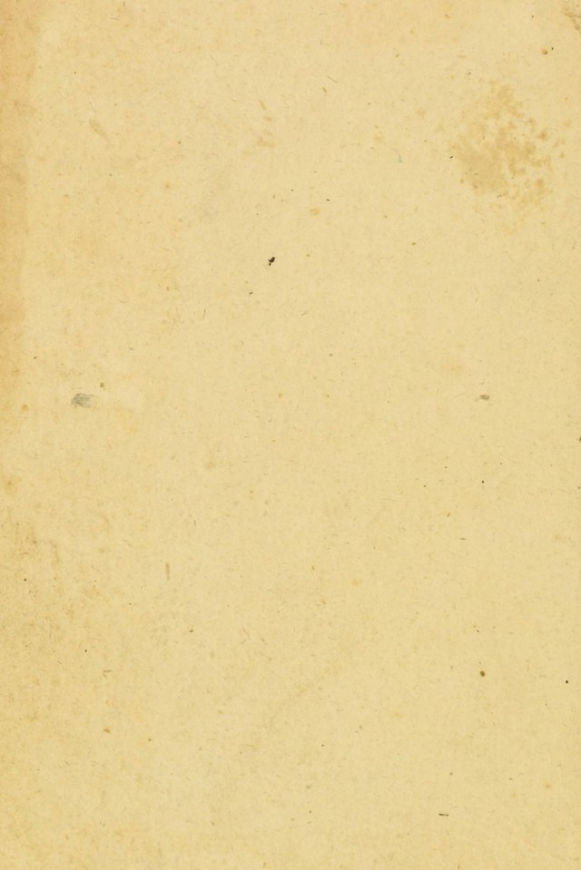 digitised image 2