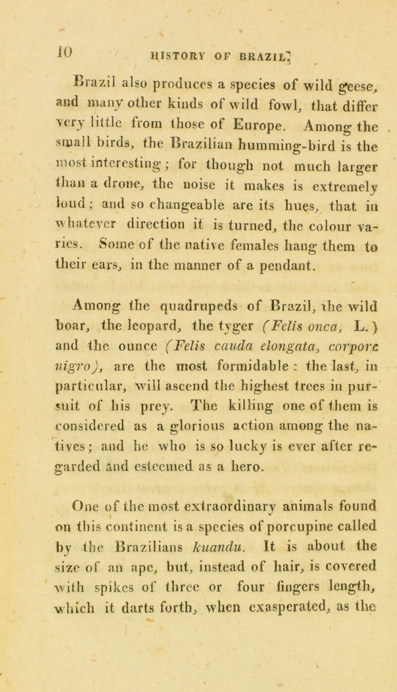Brazil also produces a species of wild geese, and many oilier kinds of wild fowl, that differ Yery little from those of Europe. Among the small birds, the Brazilian humming-bird is the most interesting; for though not much larger than a drone, the noise it makes is extremely loud ; and so changeable are its hues, that in whatever direction it is turned, the colour va- ries. Some of the native females hang them to their ears, in the manner of a pendant. Among the quadrupeds of Brazil, the wild boar, the leopard, the tyger (Fclis onca, L.) and the ounce (Fells cciuda elongata, corpora nigro), are the most formidable : the last, in particular, w ill ascend the highest trees in pur- suit of his prey. The killing one of them is considered as a glorious action among the na- tives; and he who is so lucky is ever after re- garded and esteemed as a hero. One of the most extraordinary animals found on this continent is a species of porcupine called by the Brazilians kuandu. It is about the size of an ape, but, instead of hair, is covered with spikes of three or four fingers length, which it darts forth, when exasperated, as the