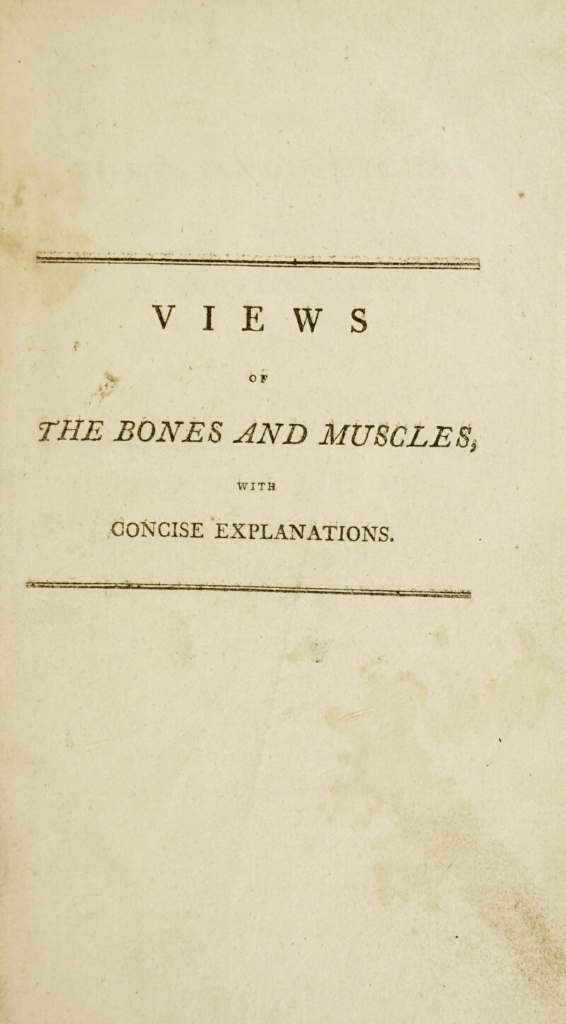 1 - ■ .... ... . ■A— — VIEWS O F THE BONES AND MUSCLES’ WITH CONCISE EXPLANATIONS. . *'• 'A' ■ ' t • \r »•>.. if,; f:i' nV ■ m i : v.' ■»»