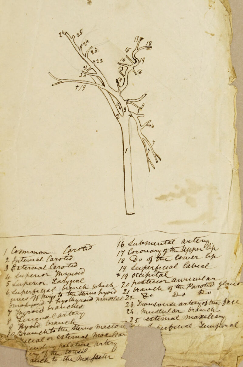 @ Cfytv^4^ — <sici Aisi^'r^ yu^yn^ lb tf4 'Jt ol **- /q sZ-^o/iXA^t U^ &£*■*/_ +/q OCC^j < i * */*t*jr. Af</ 2i~ ^ ^ 24 >W^ r ^ /sL* ^ ^ /* ' C ZU >K<^CuJ^ IriA^cti^ 2f -tittiu^JL '>u**MC*y? .’ r , -arr^ ~ ^ ^ c‘**■ ^ c~/^ Al esltn^u JAA^r ^, AmU*&U flVl'tey tfnJ'*t'kL^ 9&&&4 #7^ / u 4f r +*■/