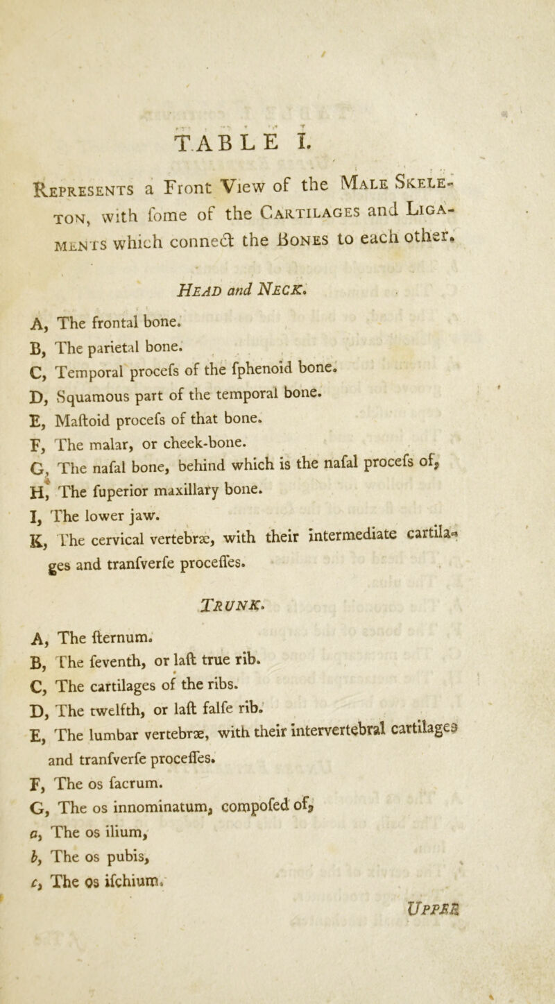 / TABLE 1. , • 1 1 » Represents a Front View of the Male Skele- ton, with fome of the Cartilages and Liga- ments which connect the Bones to each other* Head and Neck. A, The frontal bone. B, The parietal bone. C, Temporal procefs of the fphenoid bone. D, Squamous part of the temporal bone. E, Maftoid procefs of that bone. F, The malar, or cheek-bone. G, The nafai bone, behind which is the nafal procefs of, H, The fuperior maxillary bone. I, The lower jaw. K, The cervical vertebra, with their intermediate cartila* ges and tranfverfe proceffes. Trunk. A, The (ternum. B, The feventh, or laft true rib. C, The cartilages of the ribs. D, The twelfth, or laft falfe rib. E, The lumbar vertebra, with their intervertebral cartilages and tranfverfe proceffes. F, The os facrum. G, The os innominatum, compofed of, o, The os ilium, by The os pubis, r, The os ifchium* UPPRR