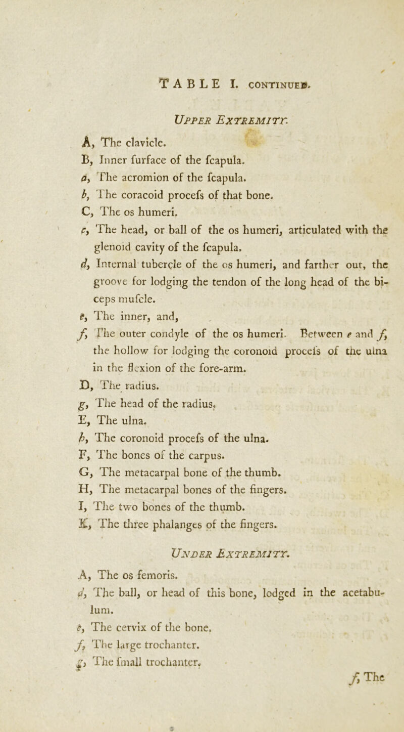 Upper Extremity A, The clavicle. B, Inner furface of the fcapula. a> The acromion of the fcapula. b, I he coracoid procefs of that bone. C, The os humeri. cy The head, or ball of the os humeri, articulated with the glenoid cavity of the fcapula. dy Internal tubercle of the os humeri, and farther out, the groove for lodging the tendon of the long head of the bi- ceps mufcle. €y The inner, and, fy The outer condyle of the os humeri. Between e and f} the hollow for lodging the coronoid proceis of tnc ulna in the flexion of the fore-arm. D, The radius. g, The head of the radius. E, The ulna. hy The coronoid procefs of the ulna. F, The bones of the carpus. G, The metacarpal bone of the thumb. H, The metacarpal bones of the fingers. I, 'Fhe two bones of the thumb. 3£> The three phalanges of the fingers. * Under Extremity. A, The os femoris. dy The ball, or head of this bone, lodged in the acetabu- lum. ty The cervix of the bone. fy The large trochanter. g) The fmall trochanter* ft The