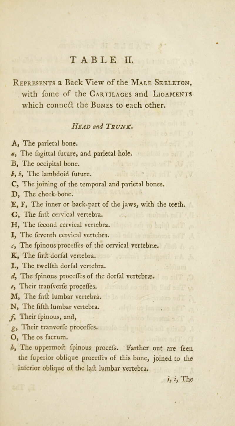 Represents a Back View of the Male Skeleton, with fome of the Cartilages and Ligaments which conned the Bones to each other. Head and Trunk. A, The parietal bone. a> The fagittal future, and parietal hole. B, The occipital bone. by by The lambdoid future. C, The joining of the temporal and parietal bones. D, The cheek-bone. E, F, The inner or back-part of the jaws, with the teeth. G, The firft cervical vertebra. H, The fecond cervical vertebra. I, The feventh cervical vertebra. Cy The fpinous proceffes of the cervical vertebrae. K, The firft dorfal vertebra. L, The twelfth dorfal vertebra. dy The fpinous proceffes of the dorfal vertebrae. ey Their tranfverfe proceffes. M, The firft lumbar vertebra. V N, The fifth lumbar vertebra. fy Their fpinous, and, gy Their tranverfe procefles. O, The os facrum. by The uppermoft fpinous procefs. Farther out are feen the fuperior oblique proceffes of this bone, joined to the interior oblique of the laft lumbar vertebra.