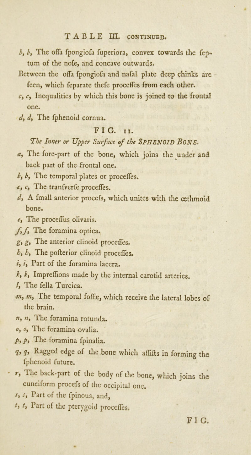 by by The ofla fpongiofa fuperiora, convex towards the fep- tum of the nofe, and concave outwards. Between the ofla fpongiofa and nafal plate deep chinks are feen, which feparate thefe procefles from each other. cy Cy Inequalities by which this bone is joined to the frontal one. dy dy The fphenoid cornua. FIG. ii. The Inner or Upper Surface of the SPHENOID BONE. % ay The fore-part of the bone, which joins the under and back part of the frontal one. by by The temporal plates or procefles. Cy Cy The tranfverfe procefles. d} A fmall anterior procefs, which unites with the oethmoid bone. e, The proceflus olivaris. fy fy The foramina optica. g, gy The anterior clinoid procefles. hy hy The poflerior clinoid procefles. iy iy Part of the foramina lacera. ky ky Impreflions made by the internal carotid arteries. Iy The fella Turcica. niy my The temporal foflie, which receive the lateral lobes of the brain. tty tiy The foramina rotunda. Oy Oy The foramina ovalia. py py The foramina fpinalia. <b q* Ragged edge of the bone which aflifts in forming the fphenoid future. • r, The back-part of the body of the bone, which joins the cuneiform procefs of the occipital one. Sy Sy Part of the fpinous, and, ty ty Part of the pterygoid procefles.