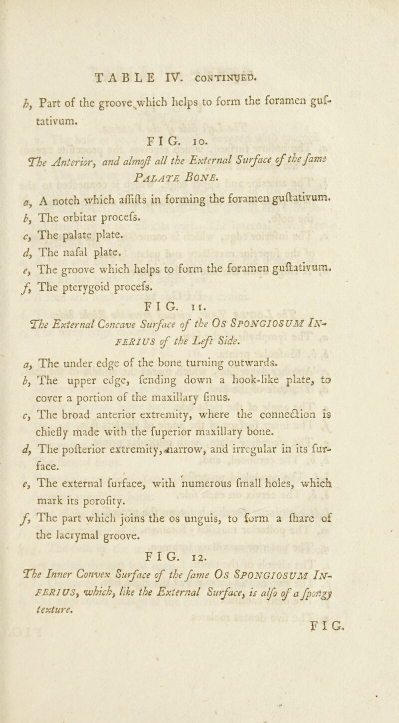 h} Part of the grooves\vhich helps to form the foramen guf- tativum. FIG. io. The Anterior, and ahnojl all the External Surface cf the fame Palate Bone. a, A notch which afiifts in forming the foramen guflativum. h. The orbitar procefs. c, The palate plate. d, The nafal plate. e, The groove which helps to form the foramen guftativum. f The pterygoid procefs. FIG. ii. \The External Concave Surface of the Os SPONGIOSUM lN~ FEE I US of the Left Side. a. The under edge of the bone turning outwards. by The upper edge, fending down a hook-like plate, to cover a portion of the maxillary fmus. Cy The broad anterior extremity, wfhere the connection is chiefly made with the fuperior maxillary bone. dy The pofterior extremity, -narrow, and irregular in its fur- face. e, The external furface, with numerous fmall holes, w'hich mark its porofity. f The part which joins the os unguis, to form a fhare of the lacrymal groove. FIG. 12. The Inner Convex Surface of the fame Os SPONGIOSUM In- FERlUSy which, like the External Surface, is alfo of a fpongy texture.