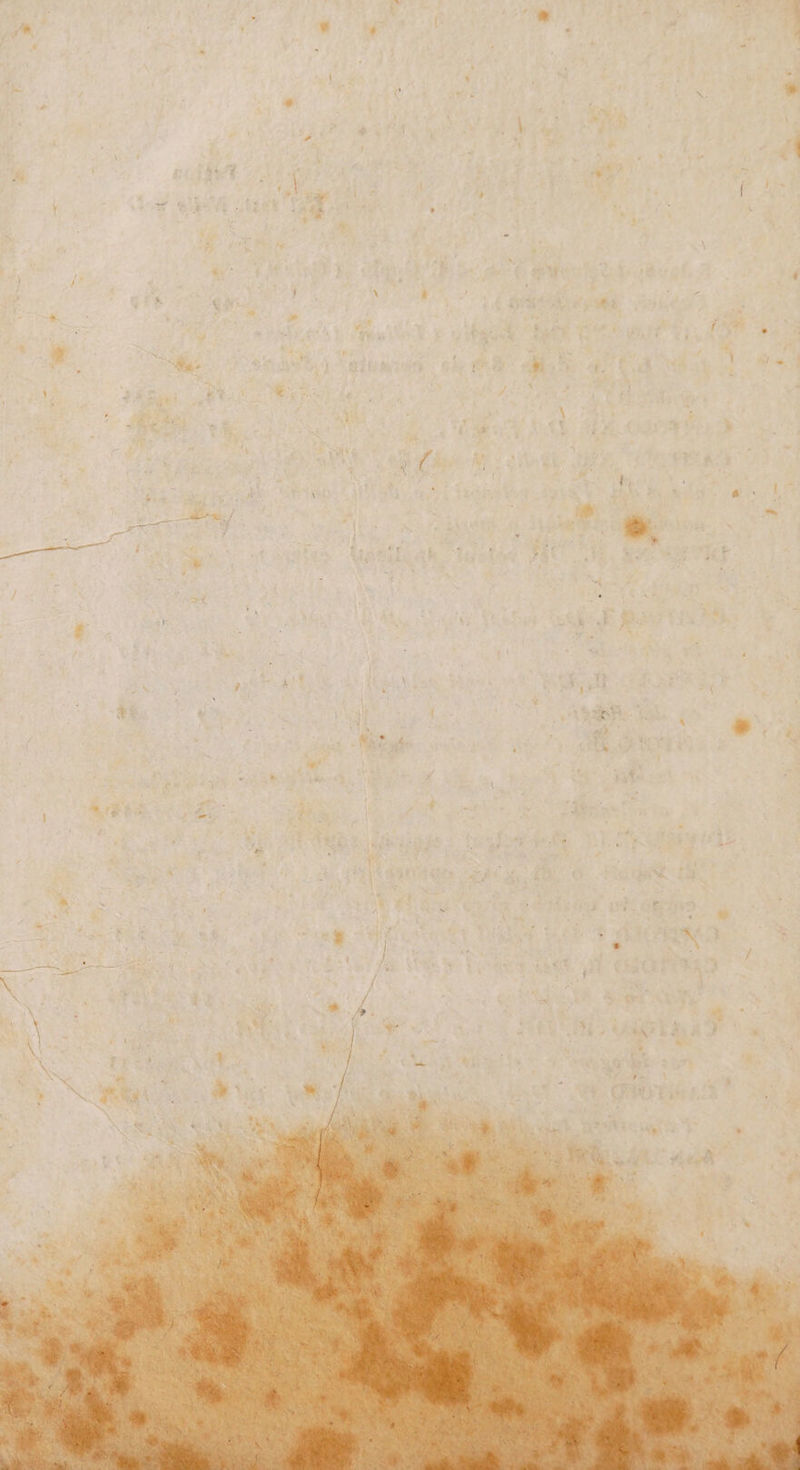 rt u rta af mi a, È 2,0% do 3 RE 1 | 7 n un snai EN fi Re IE ee wr: n AIB 1 cv x , ‚A Kin: se g | eK ke EN di 35 24 3% ur si % Fatuis | o Di ta ET, X: DR ia i