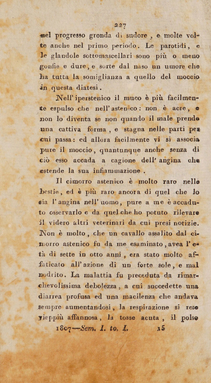 “ SME a: i x 3 di Ì mel progresso gronti pi sudore 30 molte vole 2 % anche nel prime, periodo. Le parotidi, e SI glandole sottomasceilari sono più o meno gonfie e dure, © orte dal naso un umore che » ha tutta la somiglianza a quello del Pod, { esta diatesi, n, ì È ; @ ny ‘che’ nell stenico: non. è; acre. se n a Son lo diventa se non quando il fo opp” | una cattiva forma, e stagna nel Monparti per La Pc ze ed allora facilmente vi si associa Pur il moccio, quantunque anche senza di ciò esso ‘accada a cagio ‚dell angina che | | estende la sua ‘infiammazione . ER cimorro astenico è «molto raro nelle a ed . più = ù ag di quel che lo sia È angina nell’ uomo, pure a me è accadu- ‚to osservarlo e da quel che h ho. potuto. videro altri veteri nari da cui presi notizie. fee, rei cia ons molto , ‚che un cavallo assalito « dal ci- Sa _morro astenigiuin da me esaminato , avea. pie er ta di sette in otto anni, era stato ‚molto. af Va: fallita all’azione di un forte sole, e mal di rilevare fo e È ” nodrito, La malattia. fu prece uta da rimar- ER mar E arci debolezza, a cmi succedette. una + diarrea. profusa ‘ed una wacilenza che Ba sempre: aumentandosi ;u.la.;ze espira: