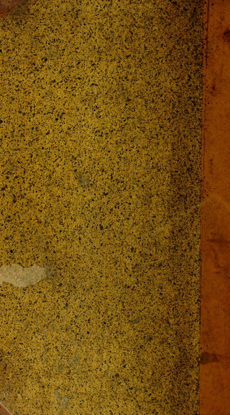 mém V *vV *^‘ V^ - ^J-'V-^