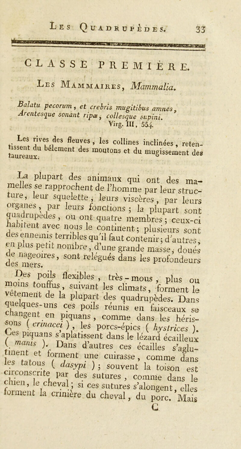 CLASSE PREMIÈRE. f Les Mammaires, Mammalia. Balatu pecorum, et crebris mugitibus amnes, Arentesque sonant ripai, collesque supini. Virg. III, 554. Les rives des fleuves , les collines inclinées, reten- tàuréaux!* Cment * m0Ut0nS e‘ du muSi«ement de* La plupart des animaux qui ont des ma- melles se rapprochent de l’homme par leur struc- ture, leur squelette, leurs viscères, par leurs organes , par leurs fonctions ; la plupart sont quadrupèdes, ou ont quatre membres: ceux-ci habitent avec nous le continent ; plusieurs sont des ennemis terribles qu'il faut contenir; d'autres en plus petit nombre, d’une grande masse, doués des^nerslreS ’ ^ relégués dans les Profondeurs ■Des poils flexibles , très - mous , plus ou moms touffus suivant les climats, forment le vetement de la plupart des quadrupèdes. Dans quelques-uns ces poils réunis en faisceaux se hangent en piquans , comme clans les héris- sons ( ennacei ) les porcs-épics ( hystrices ). Les piquans s aplatissent dans le lézard écailleux ( manu ) Dans d’autres ces écailles s’agluf lés6 ta tou s frr T CUlraSSe > ,comme dans tatous ( dasypi ) ; souvent la toison est circonscrite par des sutures , comme dans le cînen, le cheval ; si ces sutures s’alongent, elles 01 ment la crimere du cheyal, du porc. Mais G