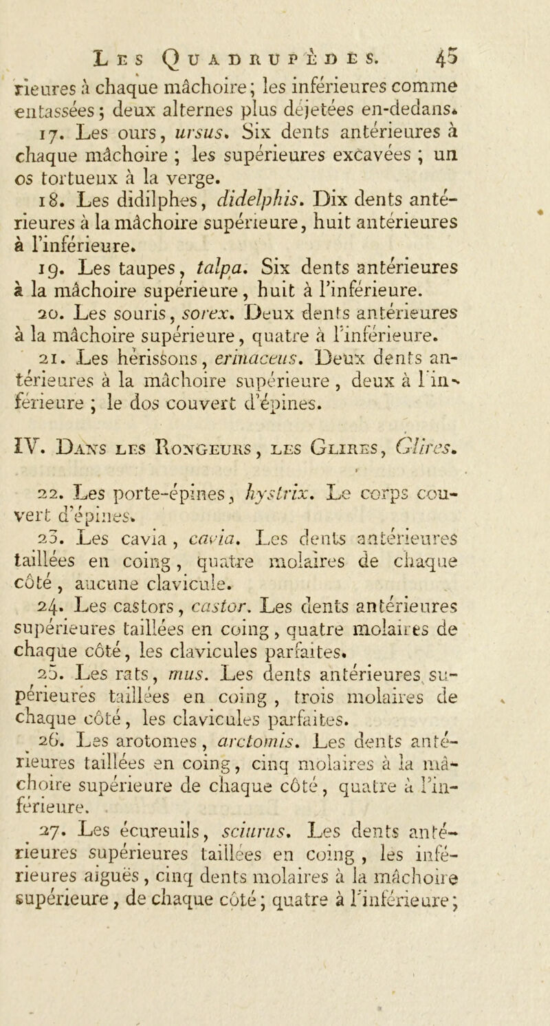 Heures à chaque mâchoire; les inférieures comme entassées ; deux alternes plus dejetées en-dedans* 17. Les ours, ursus. Six dents antérieures à chaque mâchoire ; les supérieures excavées ; un os tortueux à la verge. 18. Les didilphes, dideJphis. Dix dents anté- rieures à la mâchoire supérieure, huit antérieures à l’inférieure. 19. Les taupes, talpa. Six dents antérieures à la mâchoire supérieure, huit à l’inférieure. 20. Les souris, sorex. Deux dents antérieures à la mâchoire supérieure, quatre à llnrérieure. 21. Les hérissons, ennactus. Deux dents an- térieures à la mâchoire supérieure, deux à [in- férieure ; le dos couvert d’épines. IV. Daxs les PiONGEuns, les Glires, Gilres. 22. Les porte-épines, hystrix. Le corps cou- vert d’épines* 25. Les cavia , cavia. Les dents antérieures taillées en coing, quatre molaires de chaque côté , aucune clavicule. 24. Les castors, castor. Les dents antérieures supérieures taillées en coing, quatre molaires de chaque côté, les clavicules parfaites. 2j. Les rats, mus. Les dents antérieures su- périeures taillées en coing , trois molaires de chaque côté, les clavicules parfaites. 2G. Les arotomes, arctomis. Les dents anté- rieures taillées en coing, cinq molaires à la mâ- choire supérieure de chaque côté, quatre à l’in- férieure. 27. Les écureuils, sciurus. Les dents anté- rieures supérieures taillées en coing , les infé- rieures aigues , cinq dents molaires à la mâchoire supérieure, de chaque côté ; quatre à l'inférieure;