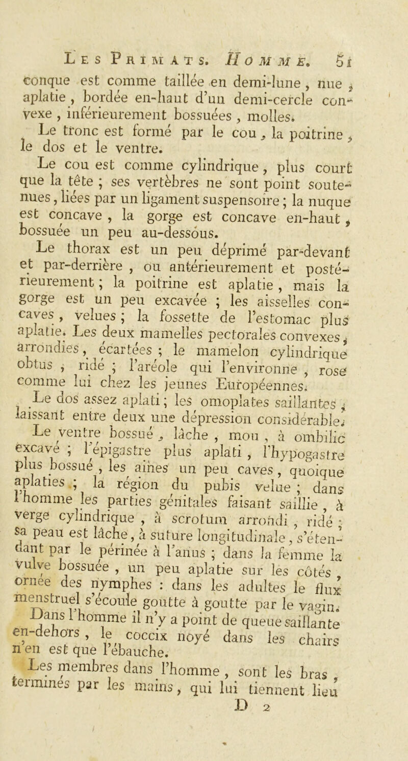 conque est comme taillée en demi-lune , nue , aplatie , bordee en-haut d’un demi-cercle con^ vexe , inférieurement bossuées , molles. Le tronc est formé par le cou ^ la poitrine > le dos et le ventre. Le cou est comme cylindrique , plus court que la tête ; ses vertèbres ne sont point soute- nues , liées par un ligament suspensoire ; la nuque est concave , la gorge est concave en-haut* bossuée un peu au-dessous. Le thorax est un peu déprimé par-devant et par-derrière , ou antérieurement et posté- rieurement ; la poitrine est aplatie, mais la gorge est un peu excavée ; les aisselles con- caves , velues; la fossette de l’estomac plus aplatie. Les deux mamelles pectorales convexes* arrondies, écartées ; le mamelon cylindrique obtus , ridé ; l’aréole qui l’environne , rose comme lui chez les jeunes Européennes. _Le dos assez aplati ; les omoplates saillantes ; laissant entre deux une dépression considérable* Le ventre bossue s lâche , mou , à ombilic excave ; 1^épigastre plus aplati , l’hypogastre plus bossué , les^ aines un peu caves , quoique aplaties ; la région du pubis velue ; dans 1 homme les parties génitales faisant saillie , à verge cylindrique , à scrotum arrondi , ridé * sa peau est lâche, à suture longitudinale, s’éten- dant par le périnée à hanus ; dans la femme la vulve bossuee , un peu aplatie sur les côtés ornee des nymphes : dans les adultes le flux menstruel s’écoule goutte à goutte par le vagin. j !1S 1 homme il n’y a point de queue saillante en-dehors , le coccix noyé dans les chairs n en est que 1 ébauché. Les membres dans l’homme , sont les bras termines par les mains, qui lui tiennent lieu