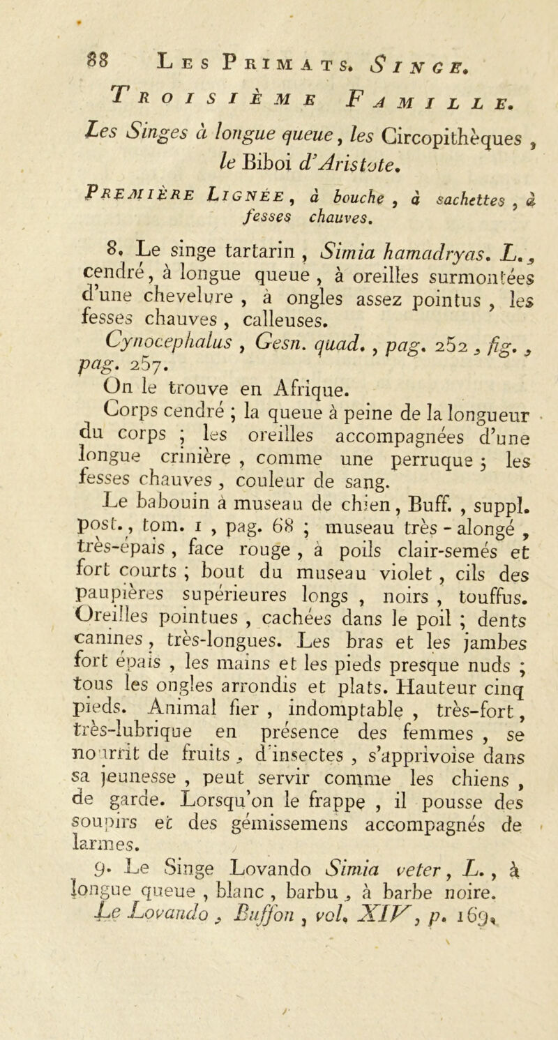 Troisième Famille, Les Singes a longue queue, les Circopithèques , le Biboi d'Aristote, Première Ligner, à bouche, à cachettes , à fesses chauves. 8. Le singe tartarin , Simia hamadryas. L, 9 cendre, à longue queue , à oreilles surmontées cl une chevelure, à ongles assez pointus, les fesses chauves , calleuses. Cynocephalus , Gesn. quad, , pag. 262 ^ fig. 9 pag. 257. On le trouve en Afrique. Corps cendré ; la queue à peine de la longueur du corps ; les oreilles accompagnées d’une longue crinière , comme une perruque 5 les fesses chauves , couleur de sang. Le babouin à museau de chien, Buff. , suppi. post. , tqm. 1 , pag. 68 ; museau très - alongé , très-épais, face rouge , a poils clair-semés et fort courts ; bout du museau violet , cils des paupières supérieures longs , noirs , touffus. Oreilles pointues , cachées dans le poil ; dents canines, très-longues. Les bras et les jambes fort épais , les mains et les pieds presque nuds ; tous les ongles arrondis et plats. Hauteur cinq pieds. Animal fier , indomptable , très-fort, très-lubrique en présence des femmes , se nourrit de fruits^ d'insectes , s’apprivoise dans sa jeunesse , peut servir comme les chiens , de garde. Lorsqu’on le frappe , il pousse des soupirs et des gémissemens accompagnés de larmes. 9* Le Singe Lovando Simia veter, L,, à longue queue , blanc , barbu „ à barbe noire. Le Lovando 9 Buff on , vol, XIK, /?. 169, /