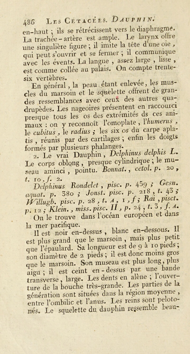 en-haut ; ils se rétrécissent vers le diaphragme. La trachée-artère est ample. Le larynx offre une singulière figure ; il imite la tête d'une oie , qui peut s’ouvrir et se fermer ; il communique avec les évents. La langue , assez large , lisse , est comme collée au palais. On compte trente- six vertèbres. _ , . En général, la peau . étant enlevee, les mus- cles du marsoin et le squelette offrent de gran- des ressemblances avec cent des autres qua- drupèdes. Les nageoires présentent en raccourci presque tous les os des extrémités ds ces ani- maux : on y reconnoît l’omoplate , 1 humeius s le cubitus , le radius ; les six os du carpe apla- tis , réunis par des cartilages ; enhn les doigts formés par plusieurs phalanges. . T 2. Le vrai Dauphin , JDelphinus delphis L. Le corps oblong , presque cylindrique ; le mu- seau aminci , pointu. Bonnat,, cetol. p. 20 9 t. ÏO » /• 2. < Delphinus Rondelet , pisc. p. 4^9 ; ^esn. aquat. p. 38o ,• Jonst. pisc. p. 21b , t. ; milugb. pisc. p. 28 , t. A , I J; Rai ,piscu 17. 12 j Klein. , miss. pisc. II, p. 2^ , t. 3, J. A. On le trouve dans 1 océan européen et dans la mer pacifique. TT 11 est noir en-dessus , blanc en-dessous. 11 est plus grand que le marsoin , mais plus petit que l’épaulard. Sa longueur est de 9 a 10 pieds, son diamètre de 2 pieds ; il est donc moins gros que le marsoin. Son museau est plus long, plus aigu ; il est ceint en - dessus par une banne transverse , large. Les dents en alêne ; 1 ouver- ture de la bouche très-grande. Les parties de la génération sont situées dans la région moyenne , entre l’ombilic et l’anus. Les rems sont pelofo- nés. Le squelette du dauphin regsembxe beau